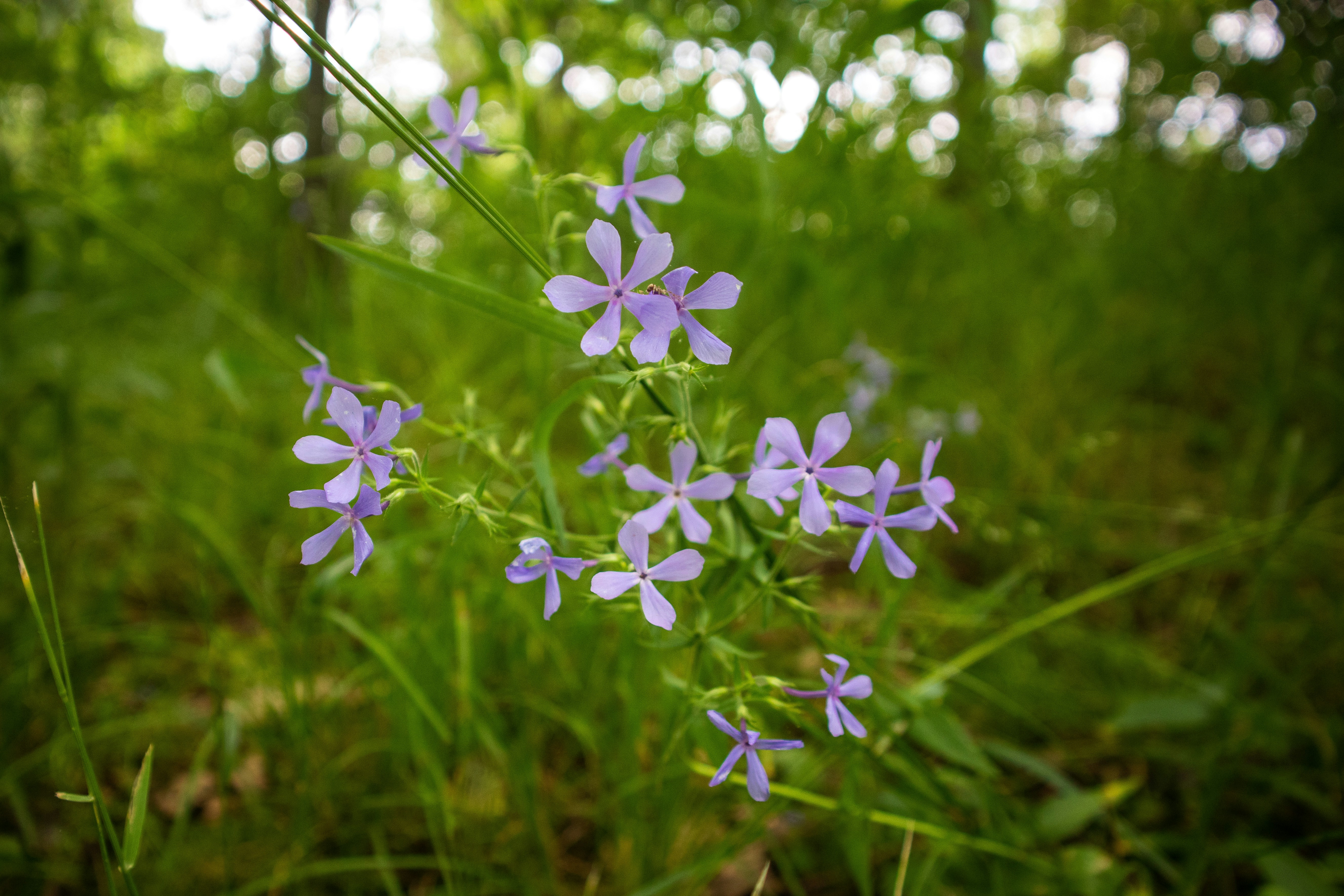 Photo by theenthusedlife