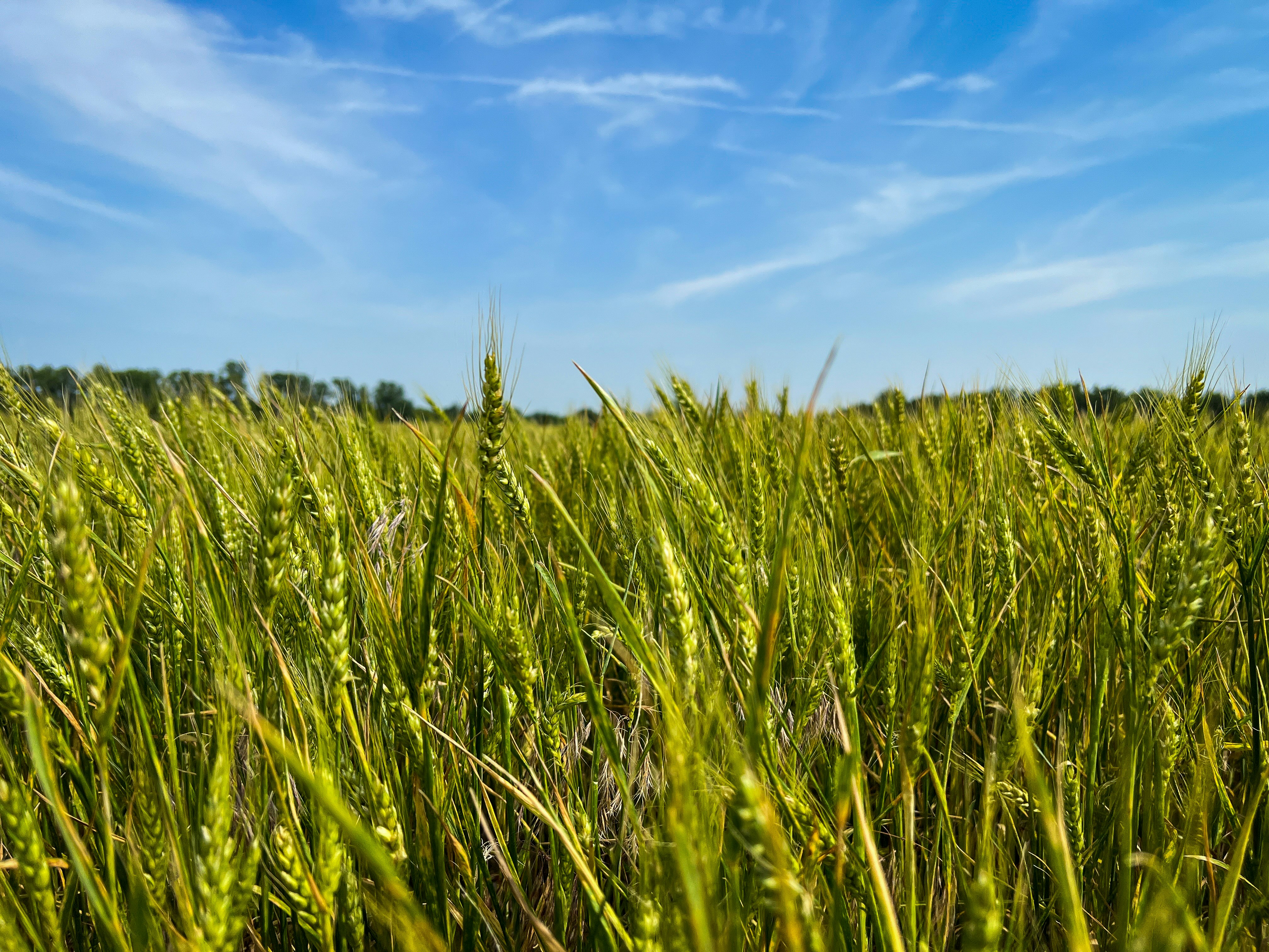 Photo by theenthusedlife