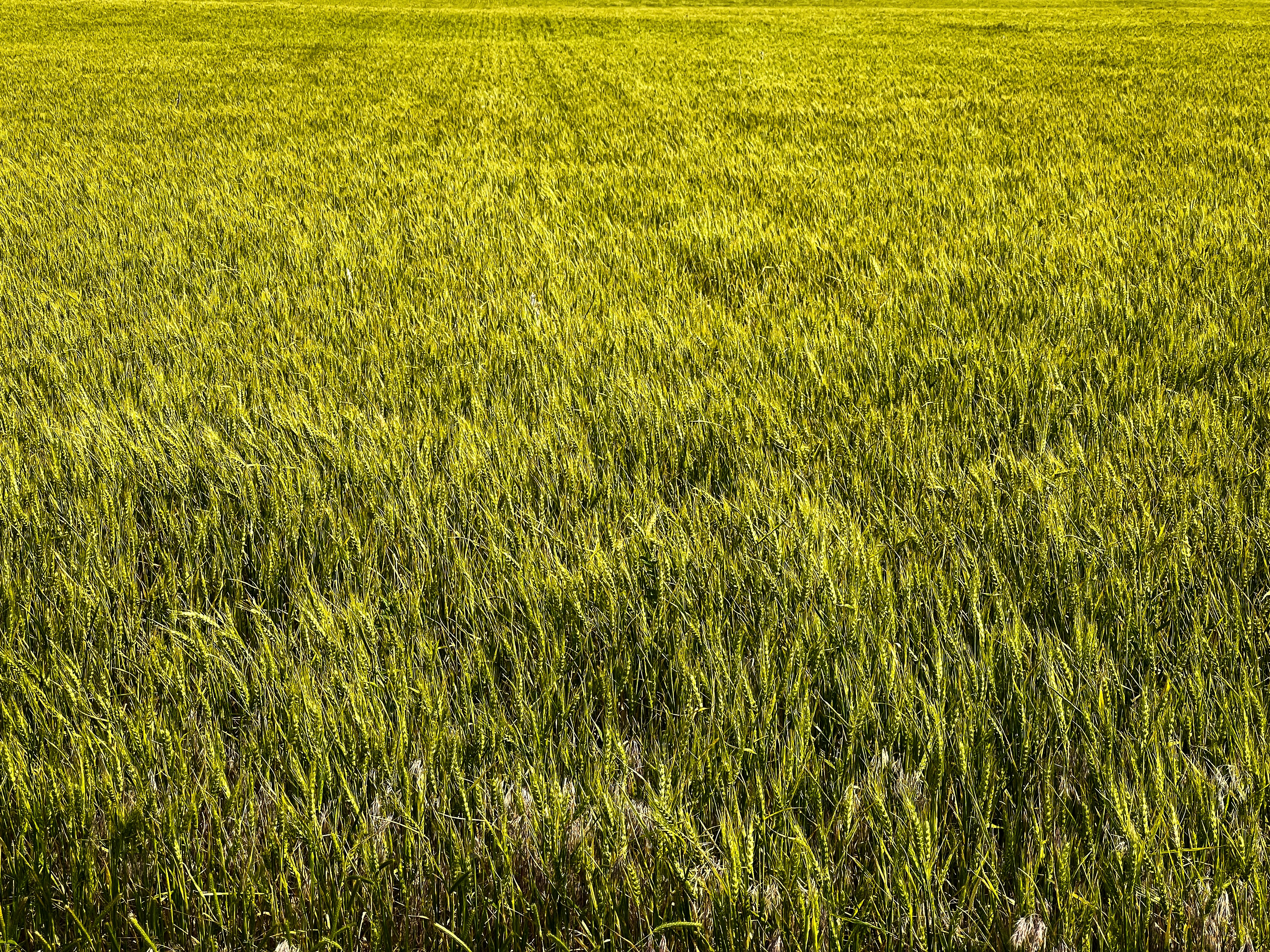 Photo by theenthusedlife