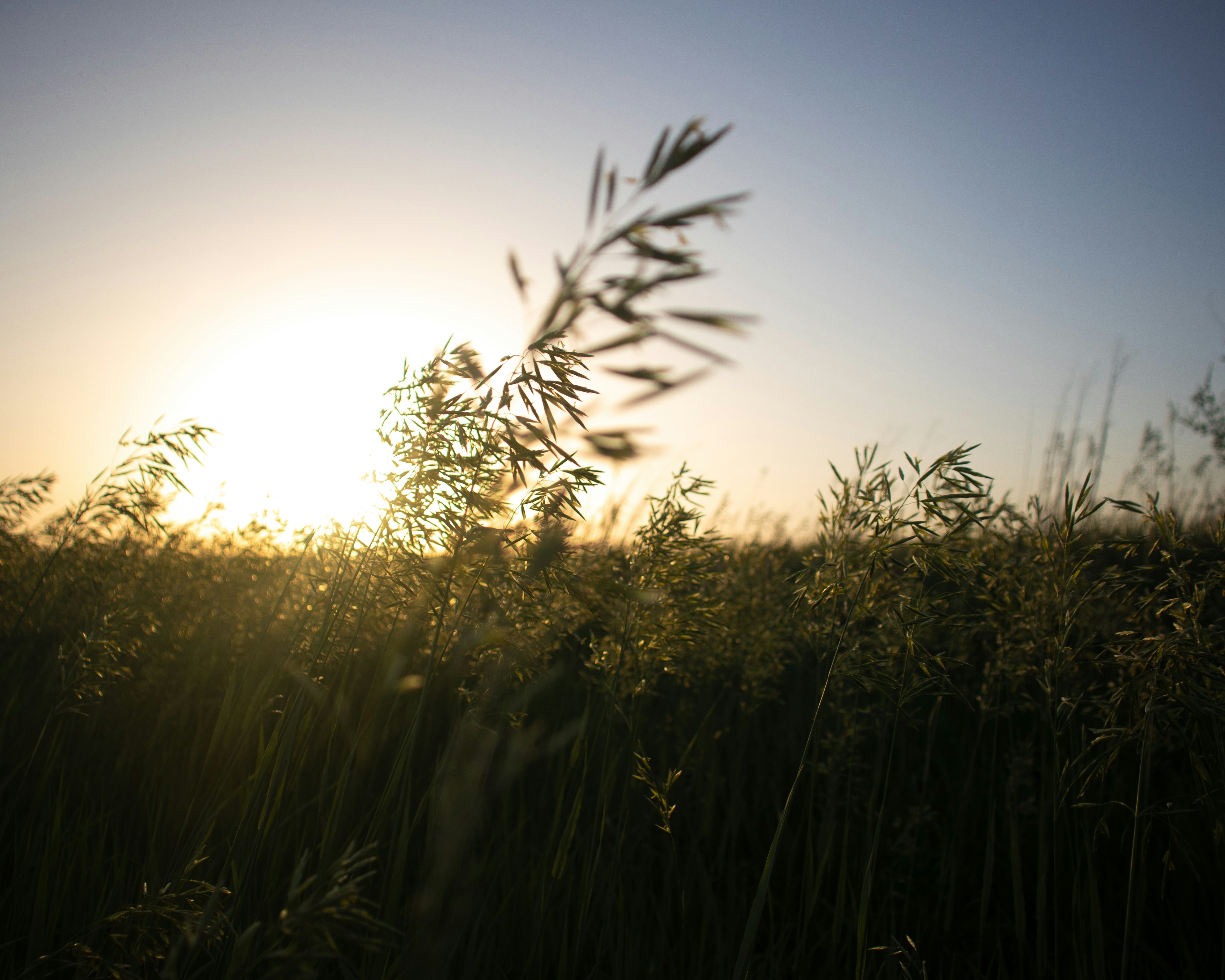 Photo by theenthusedlife