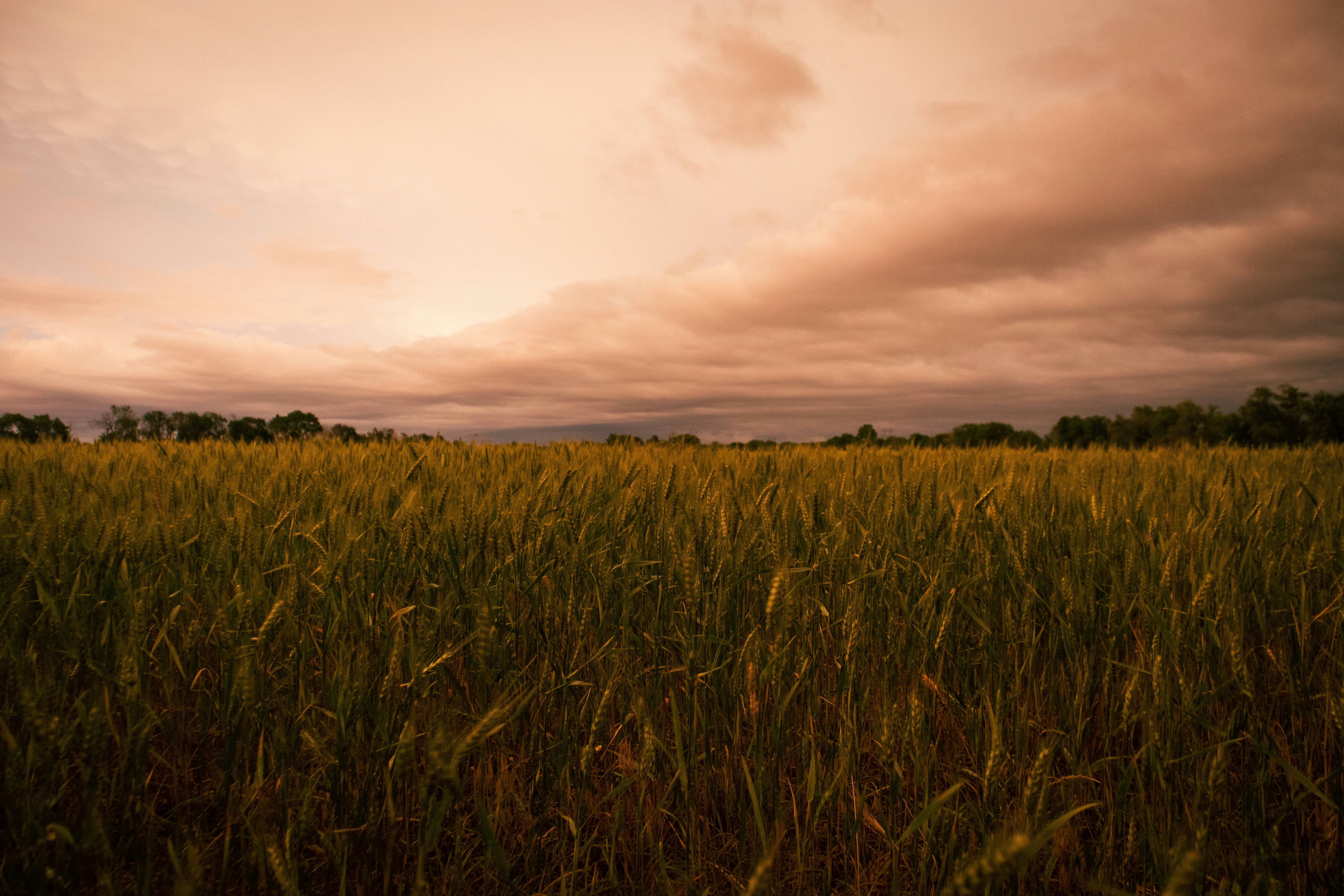 Photo by theenthusedlife