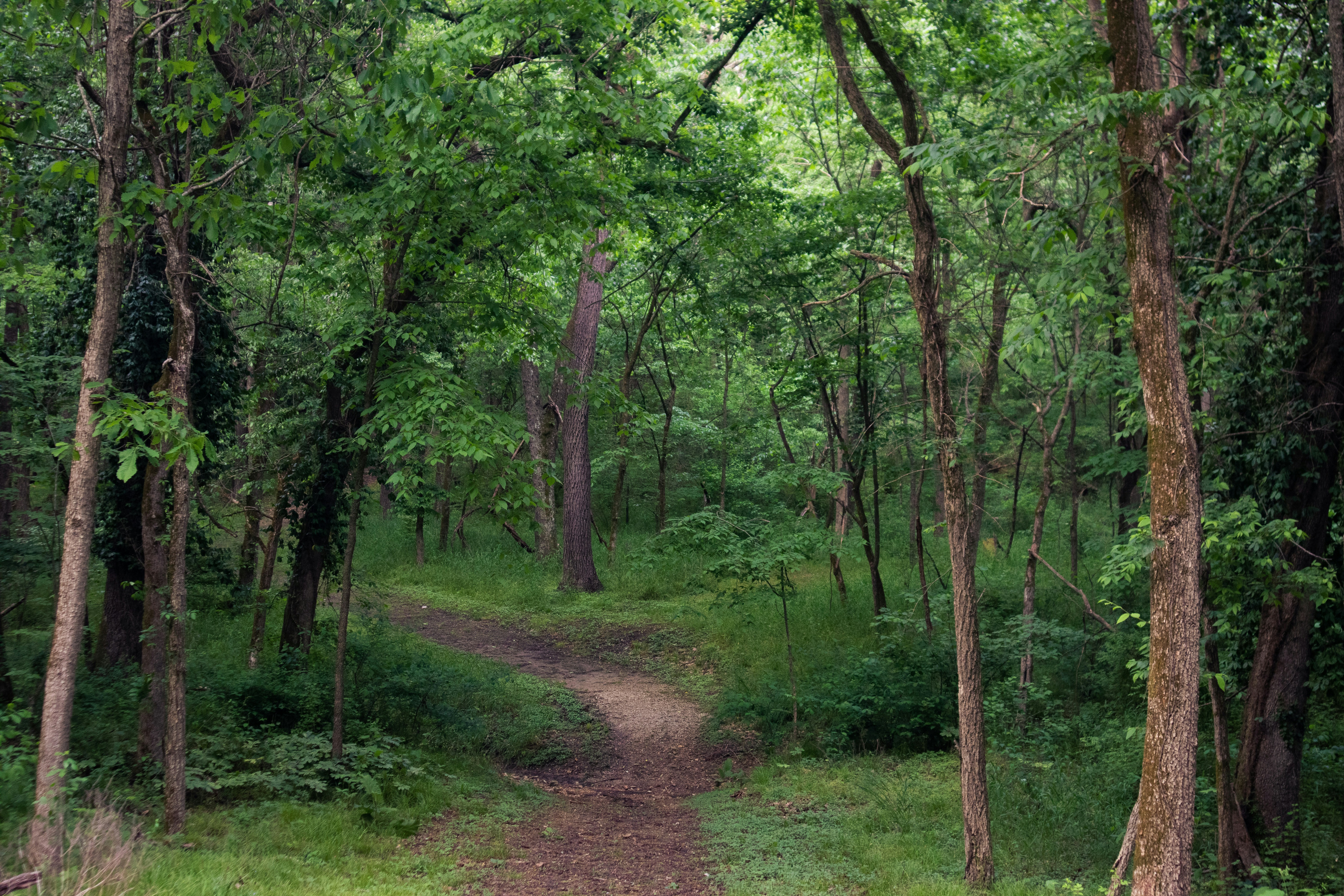 Photo by theenthusedlife