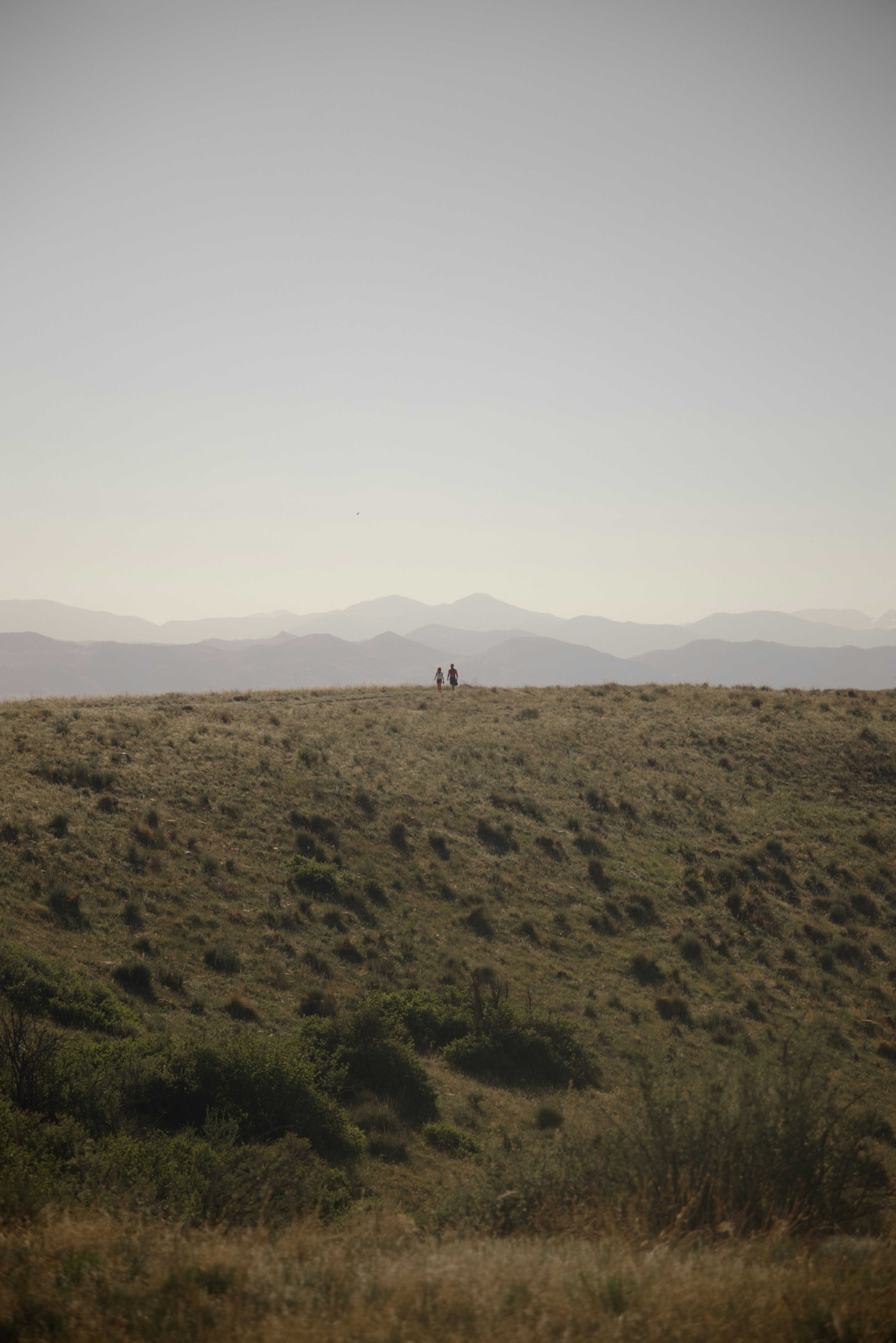 Photo by ldpeterson11