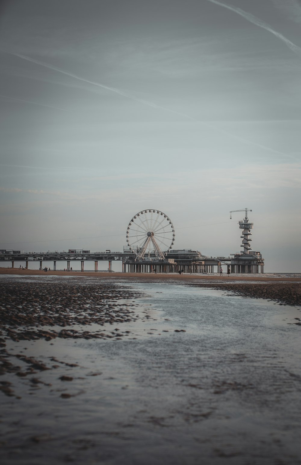 a ferris wheel by a beach