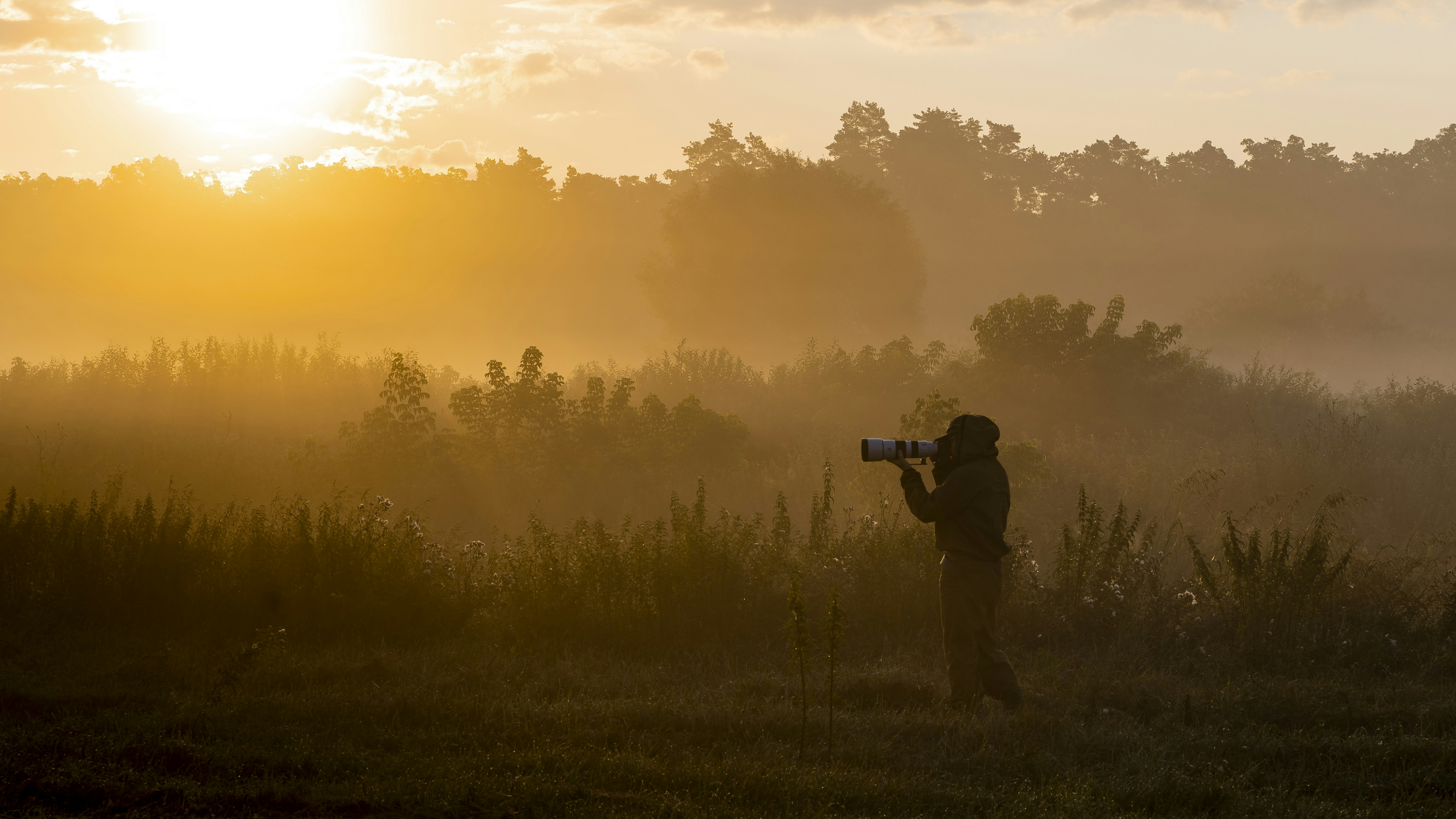 Photo by maksym_tymchyk