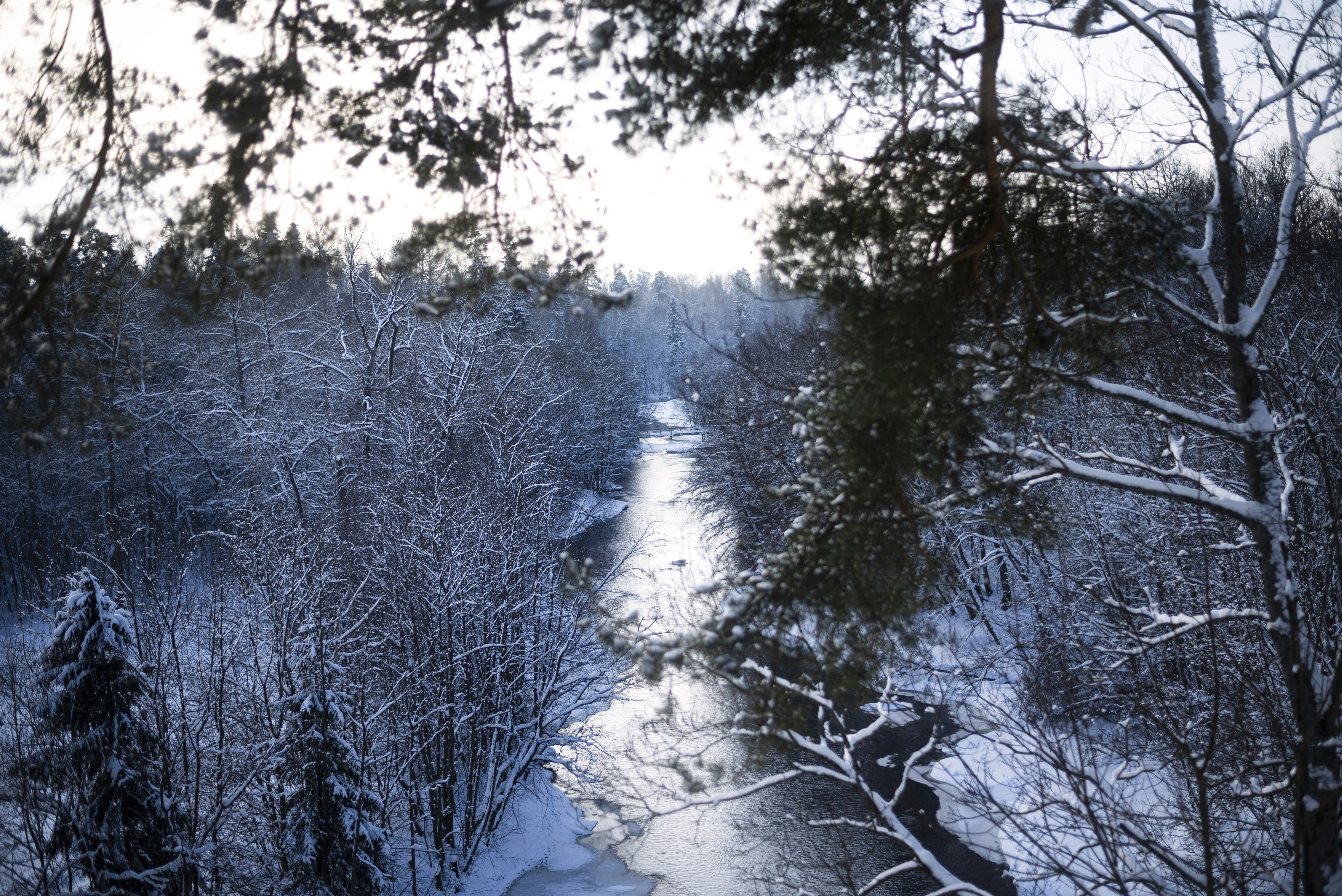 Photo by vadutskevich