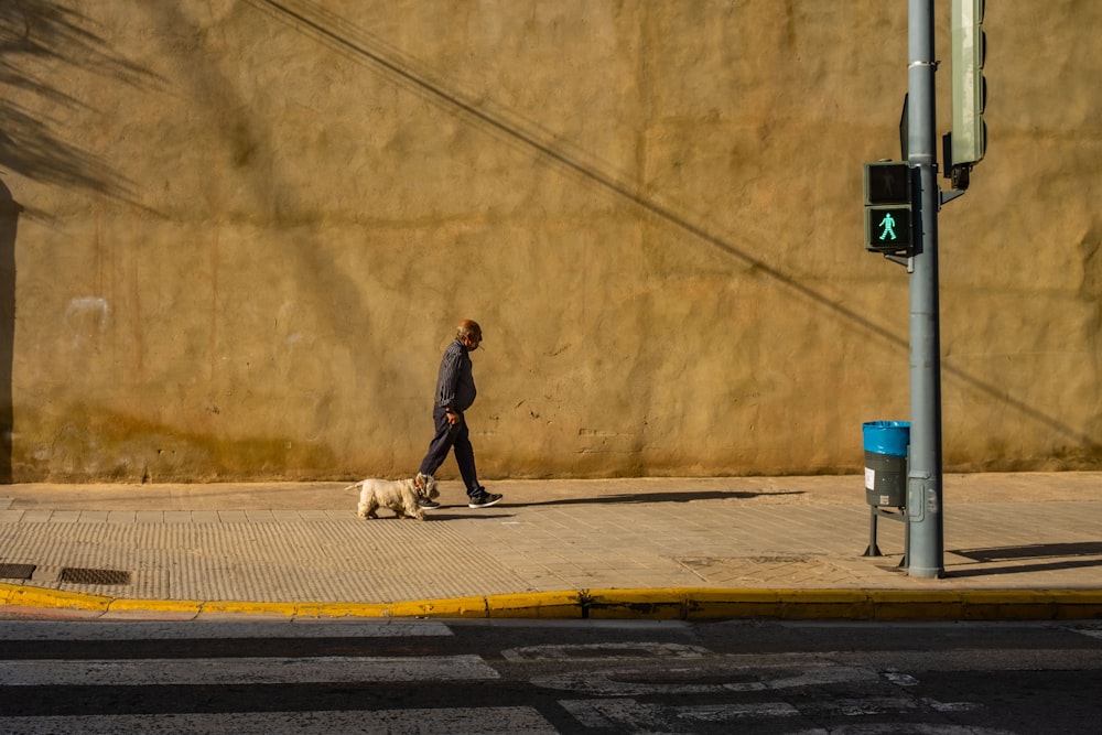 a person skateboards with a dog