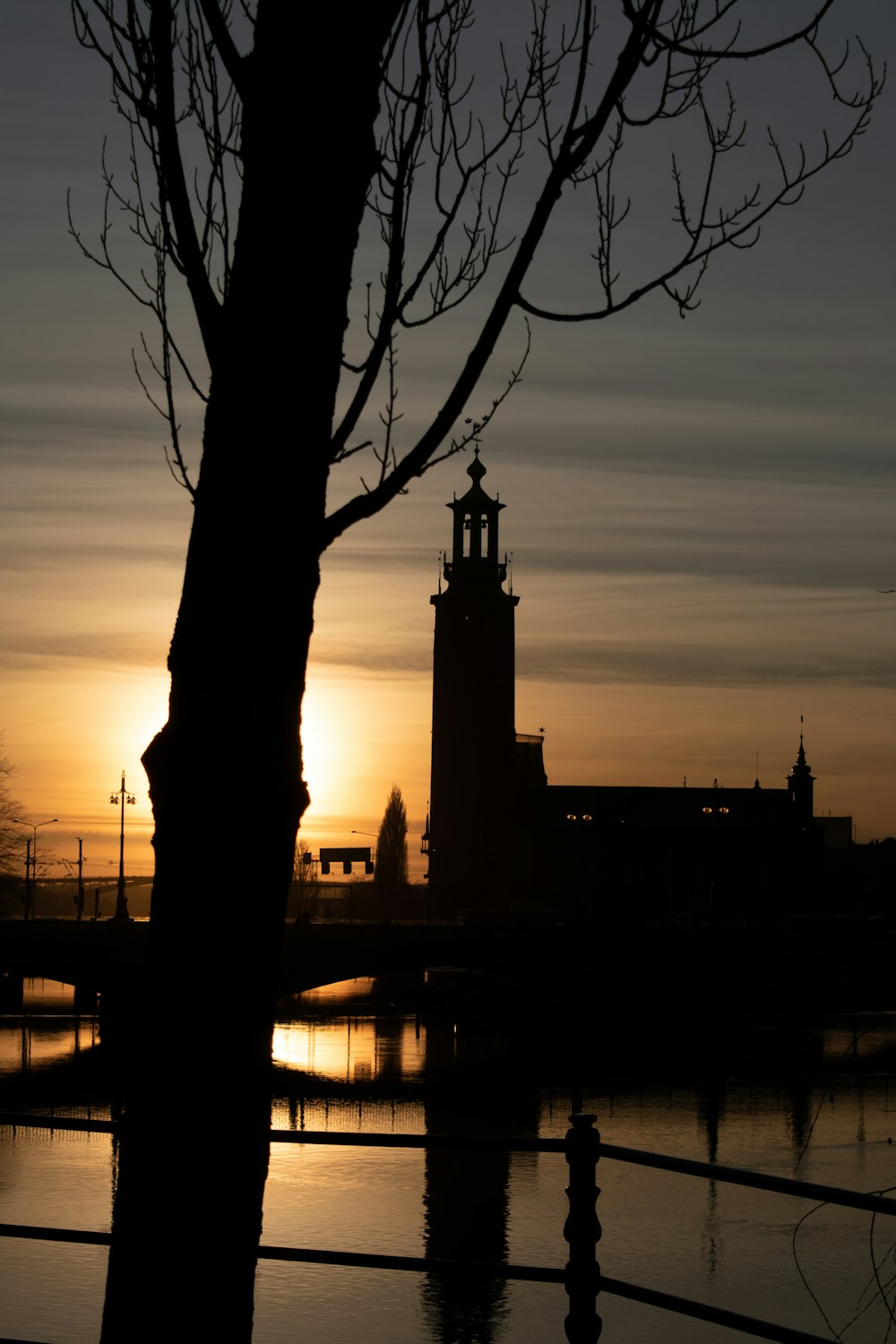 a tree next to a body of water with a building in the background