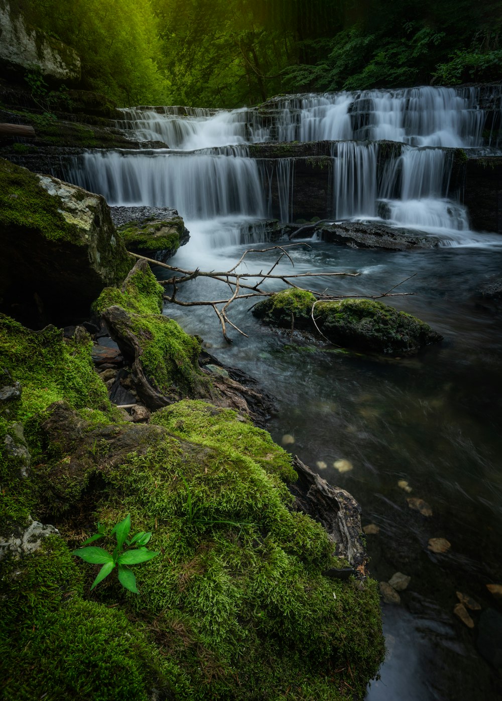 a waterfall with moss and rocks