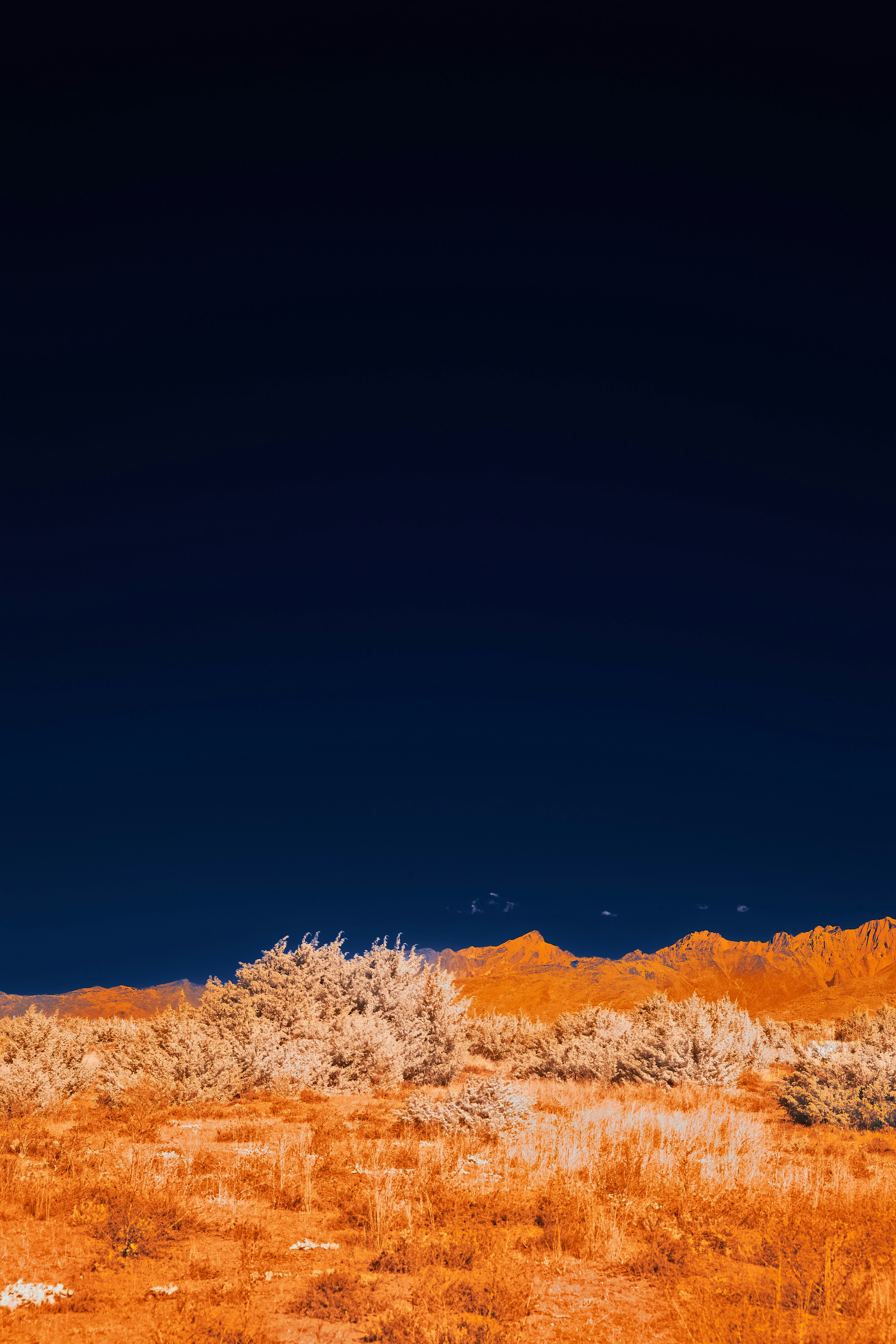 Photo by wolfgang_hasselmann