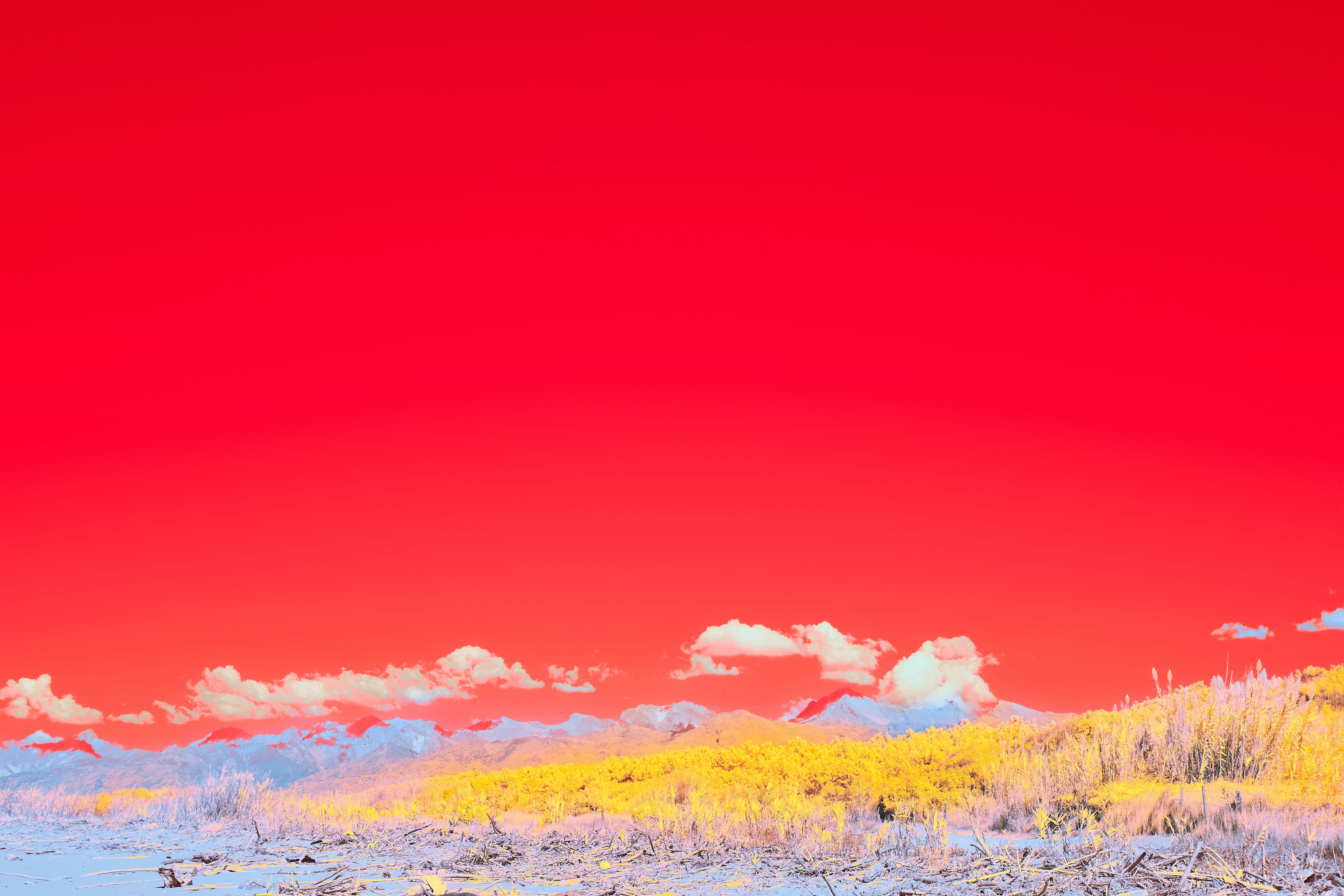 Photo by wolfgang_hasselmann