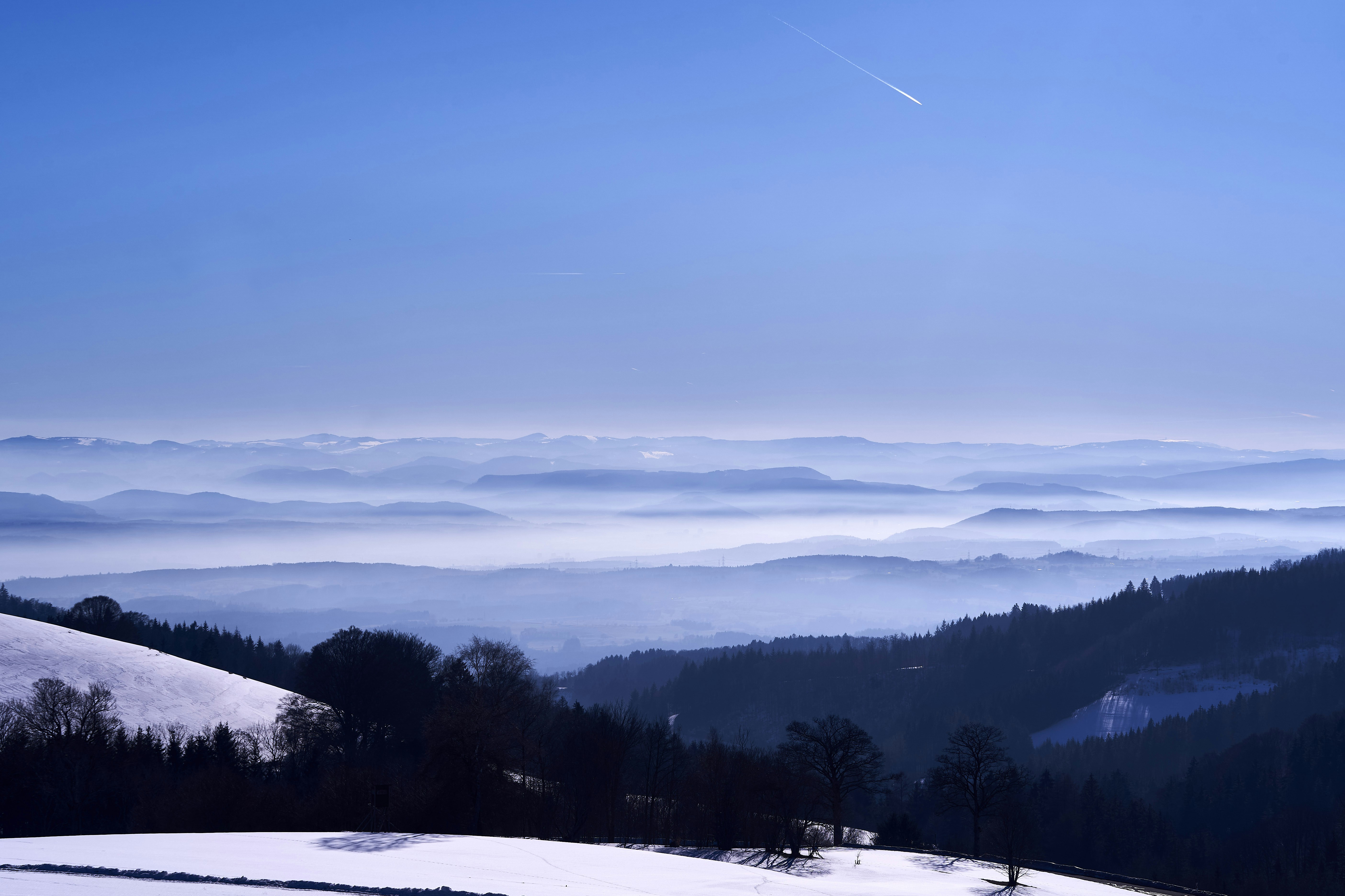 Photo by wolfgang_hasselmann