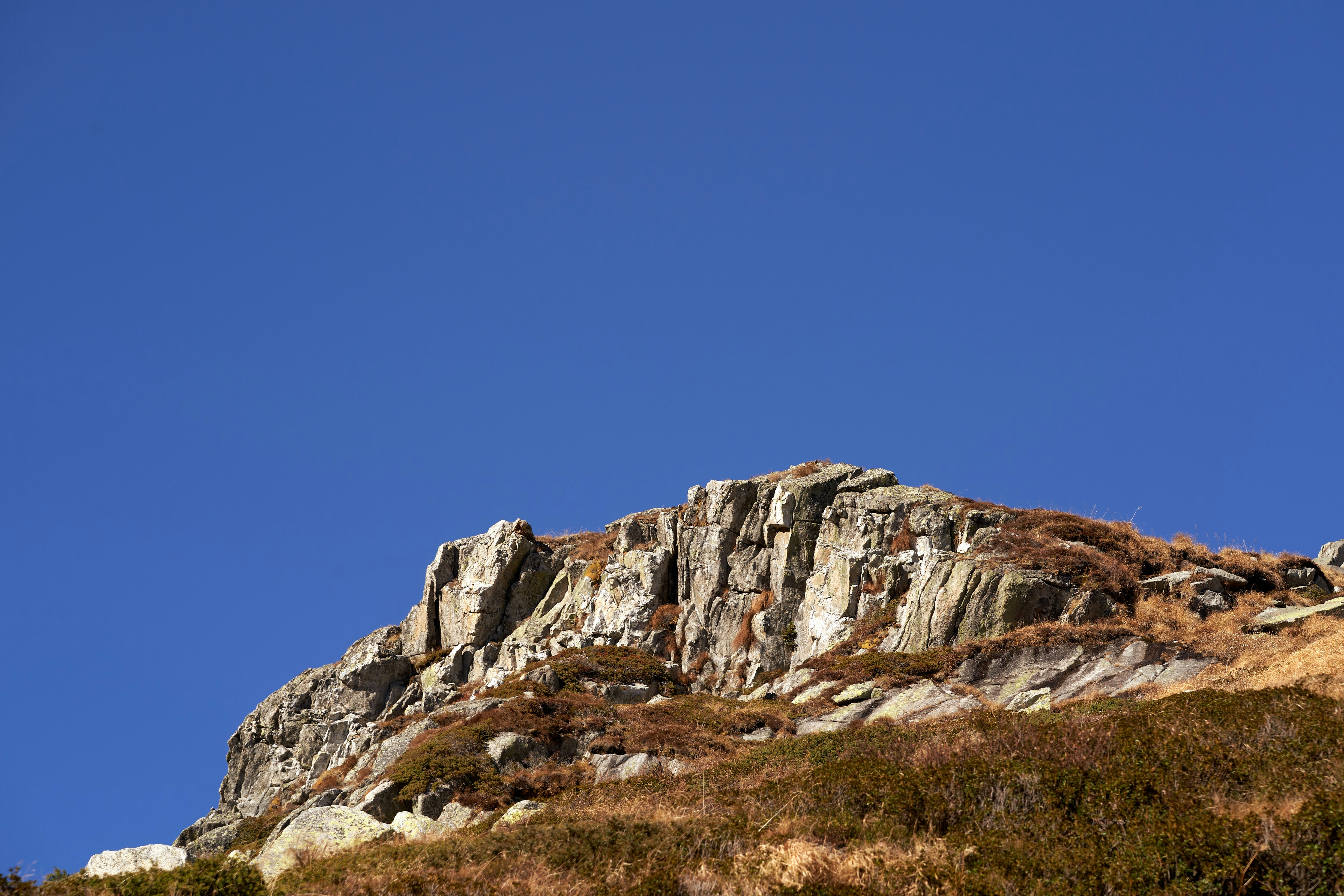 Photo by wolfgang_hasselmann