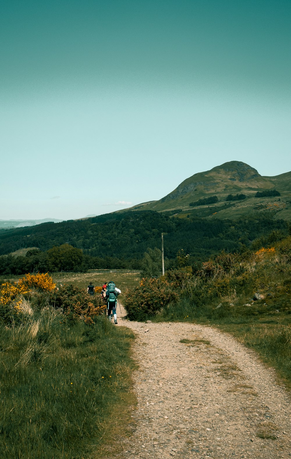 a group of people hiking on a dirt road in a hilly area