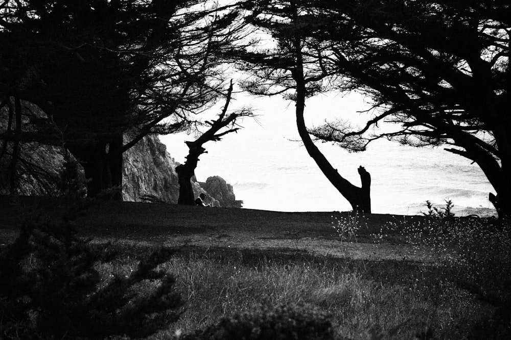 a grassy area with trees and a body of water in the background