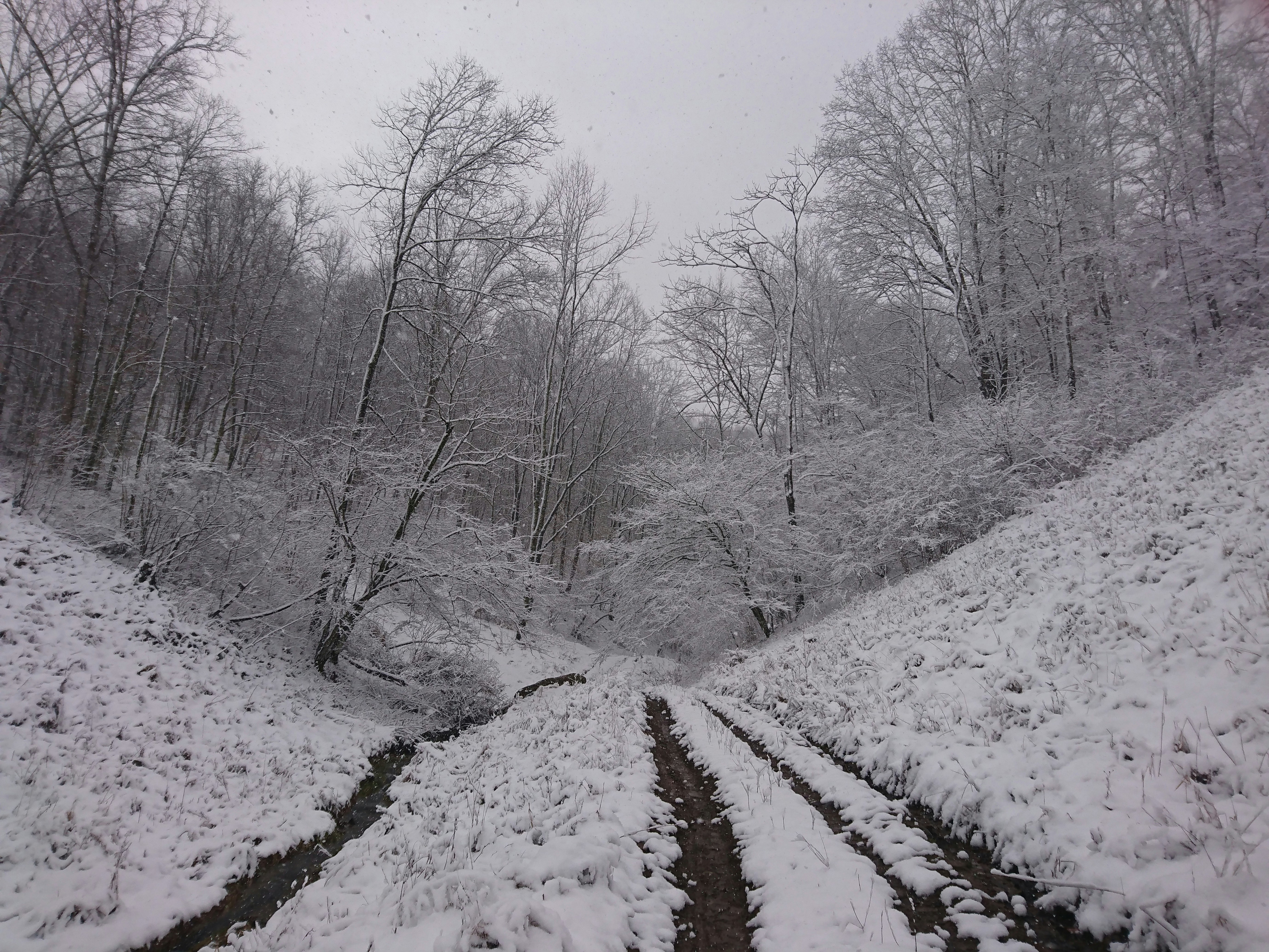 west virginia atv trail
