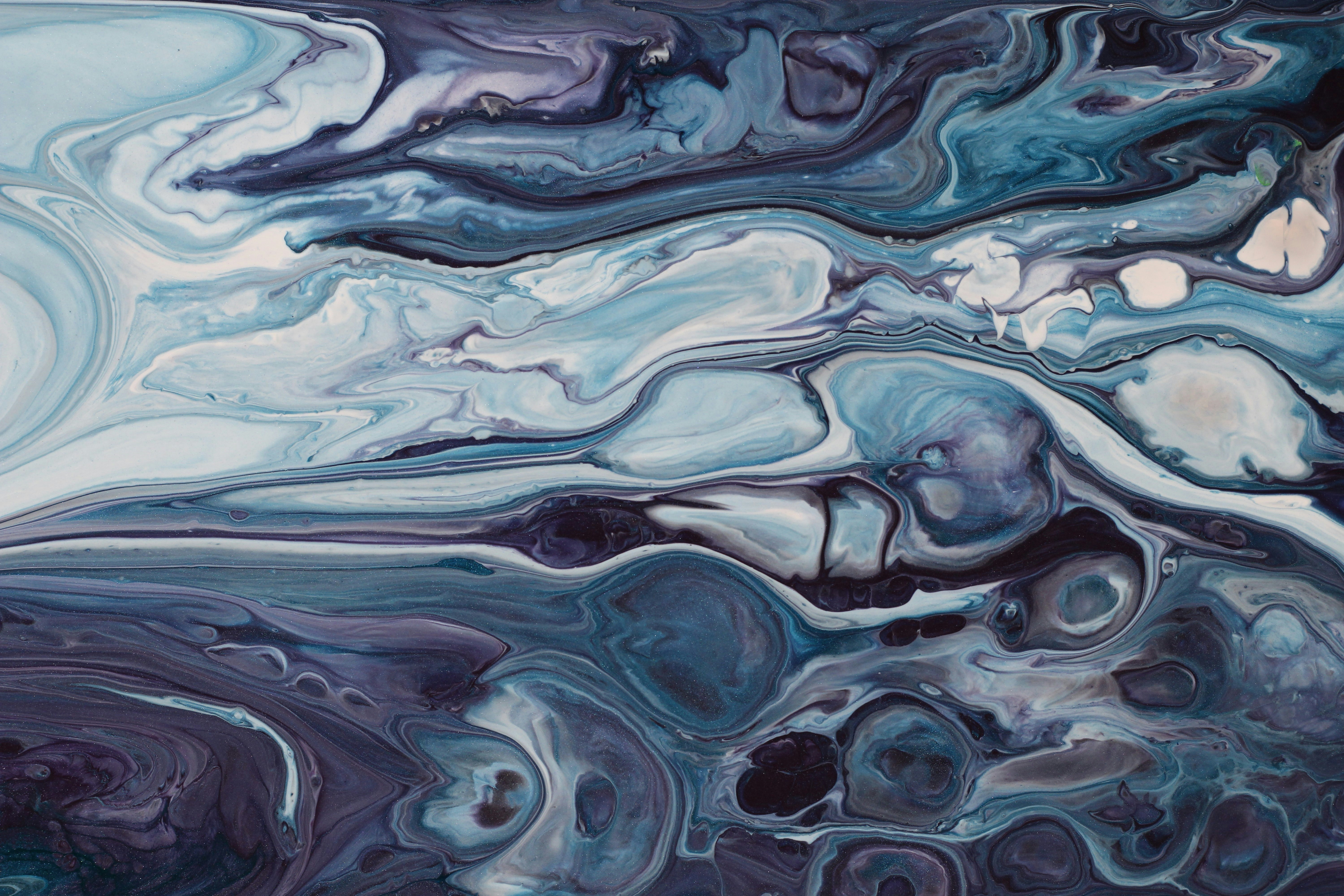 Photo by susan_wilkinson