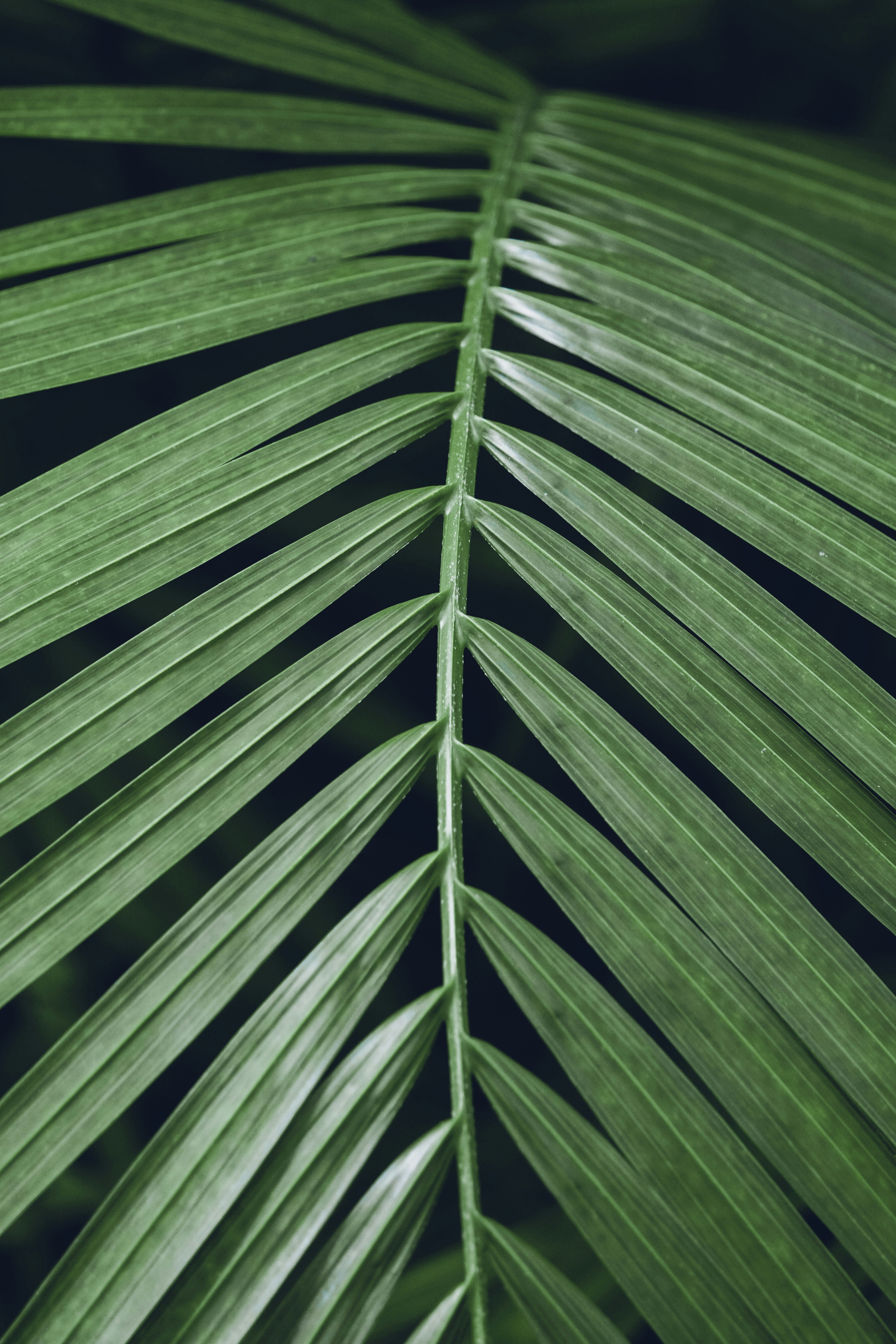 Photo by ja_domenech