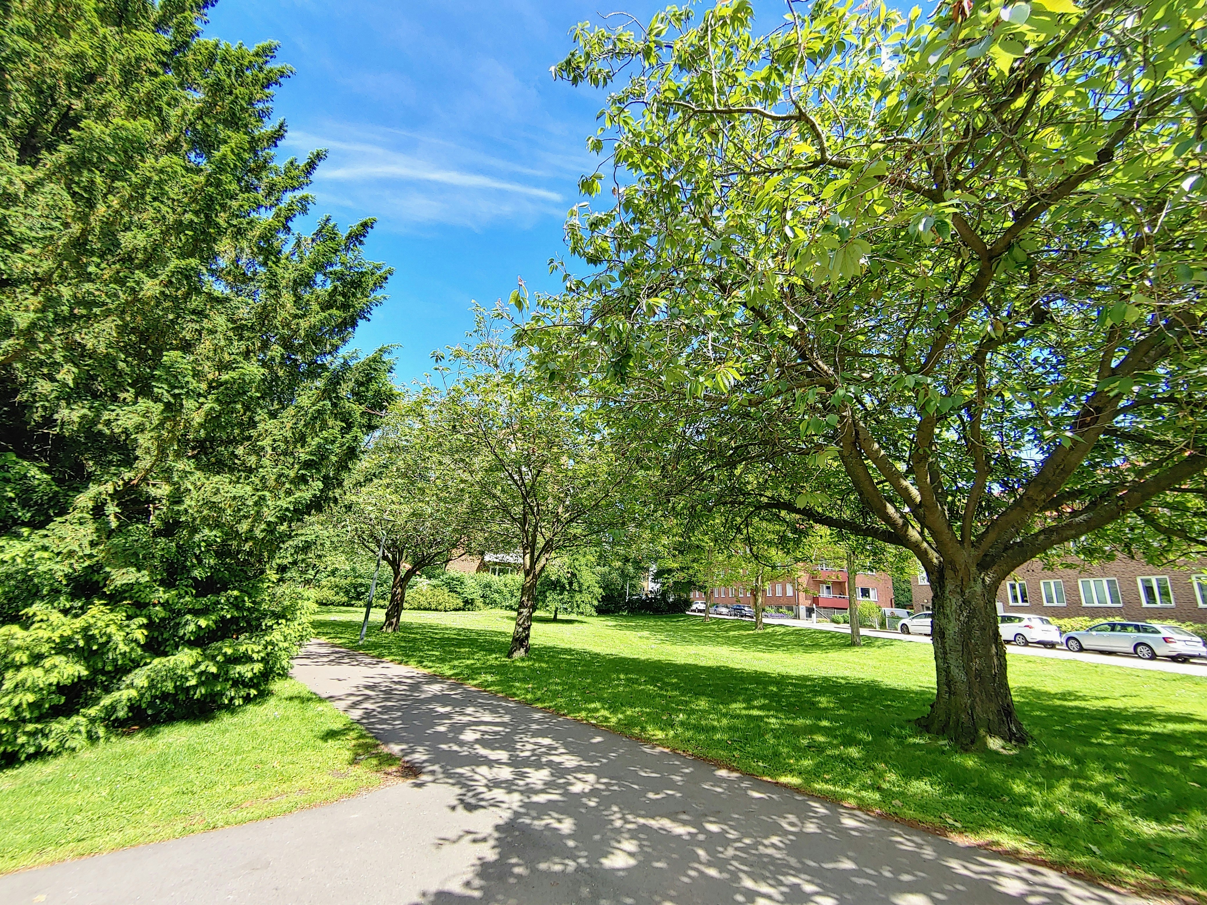 Photo by artsy_lens21