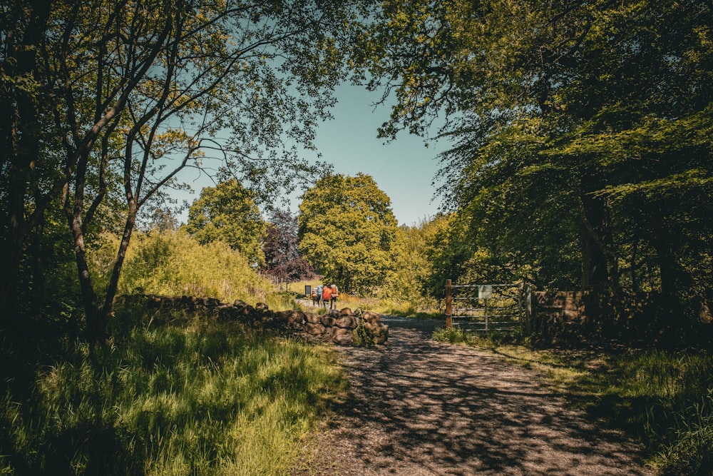 a dirt road with trees on either side of it