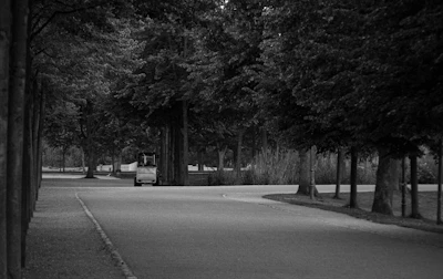 The electric cart in motion, cruising through a city park with bright street art in the background.