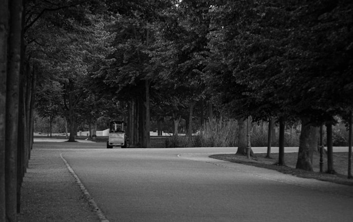 A staff member driving an electric car through a scenic pathway.