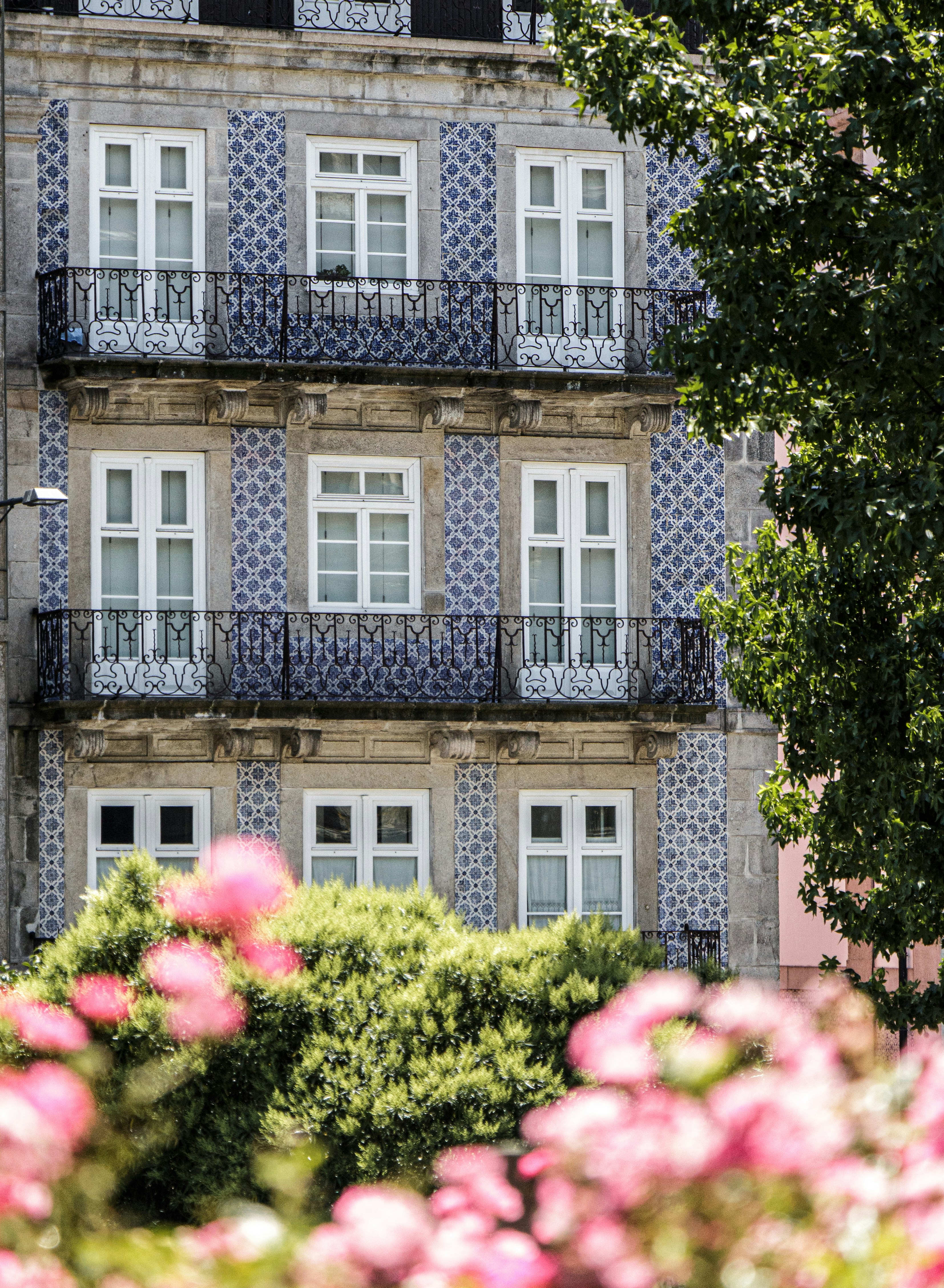 Why Are My Potato Plants Falling Over