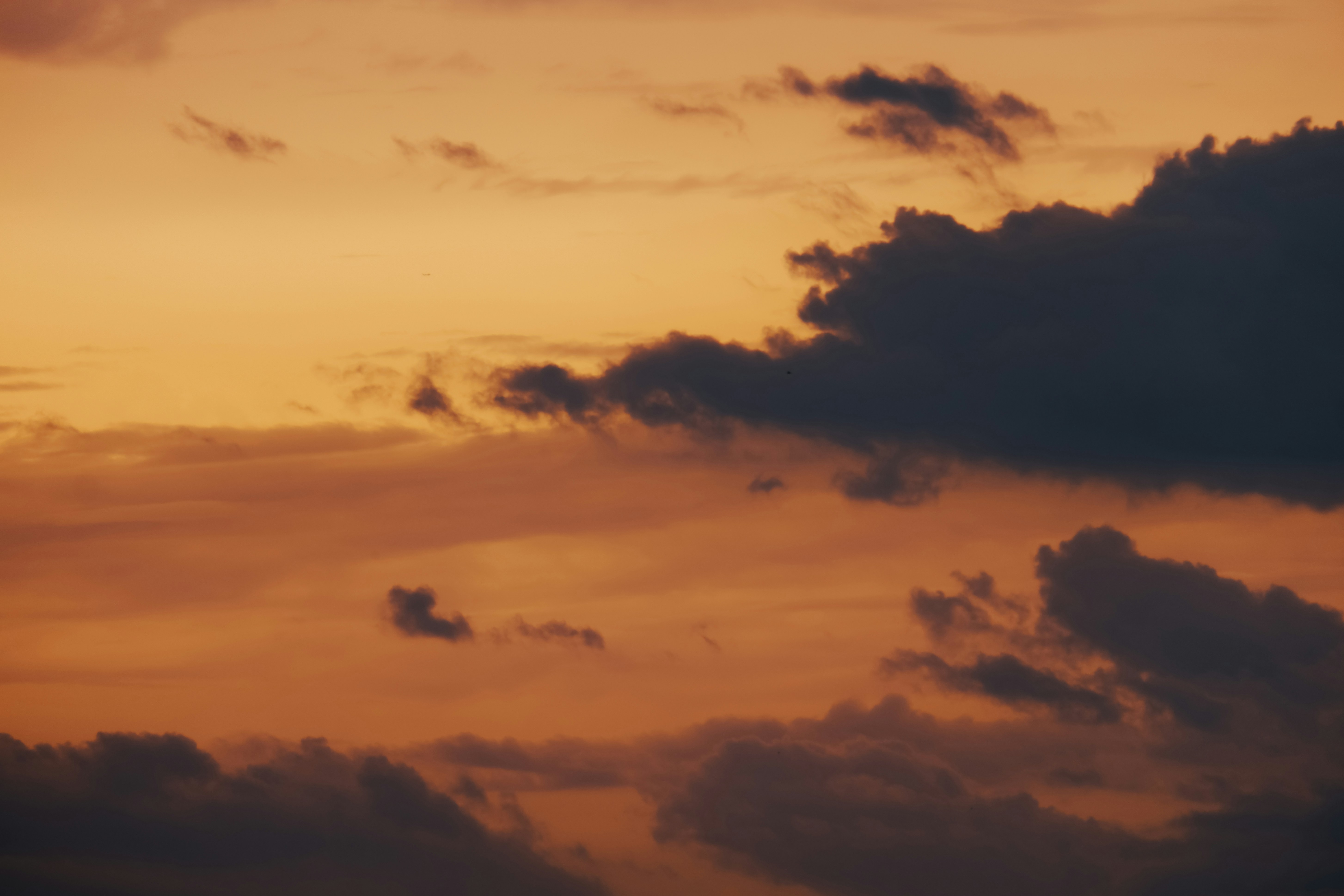 Photo by dying_apricity