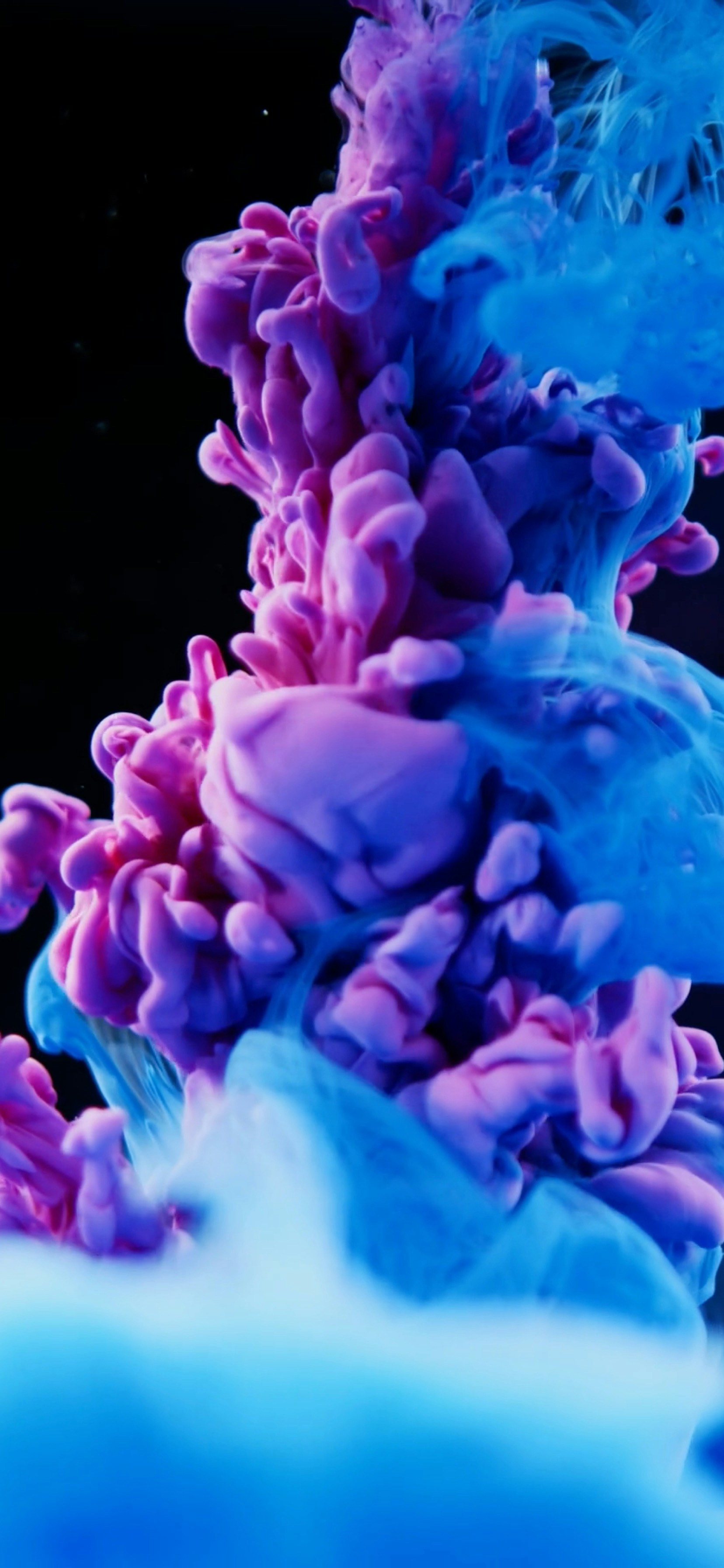 Photo by aestheticbear_123