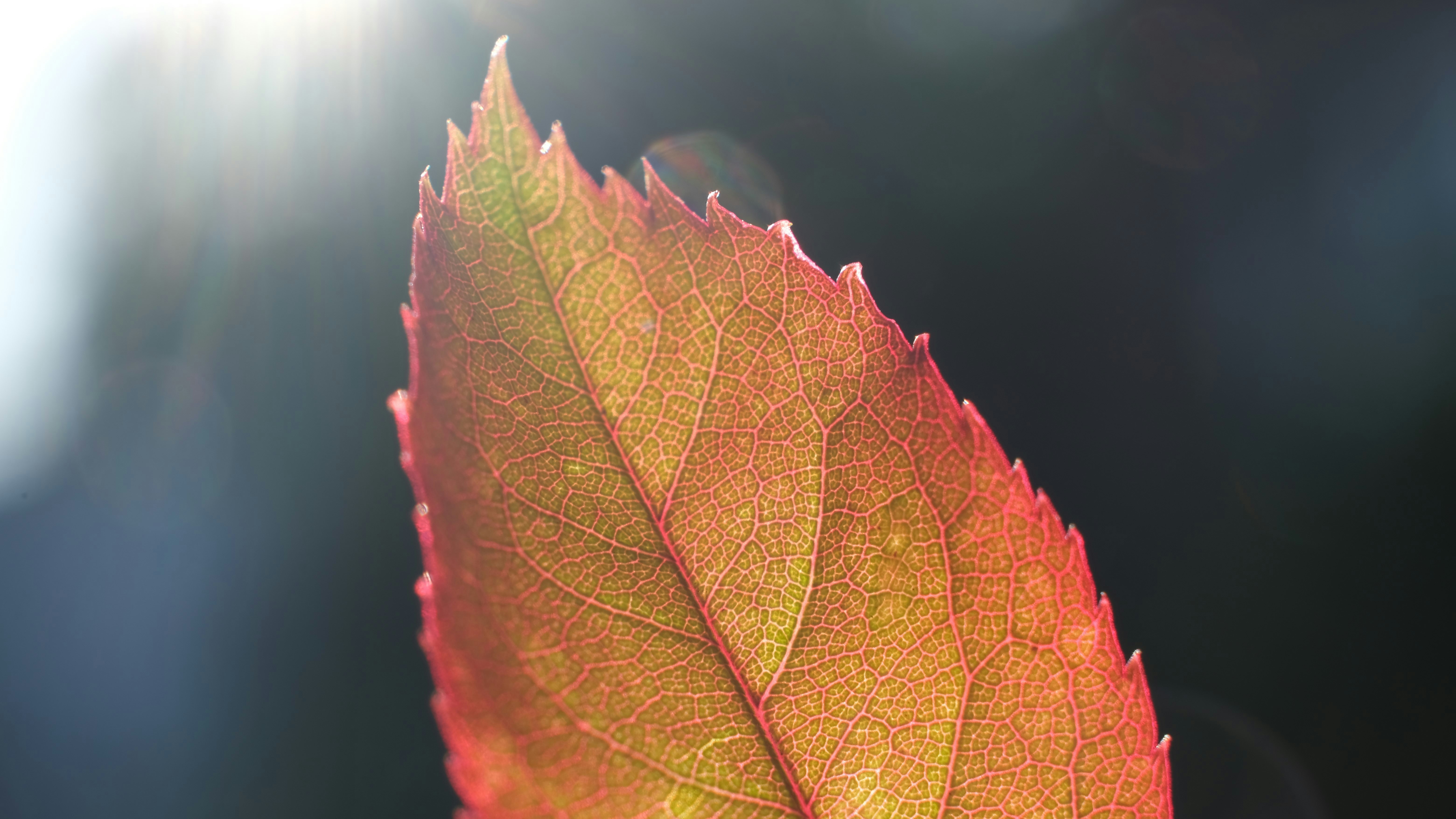 Photo by consoledotlog