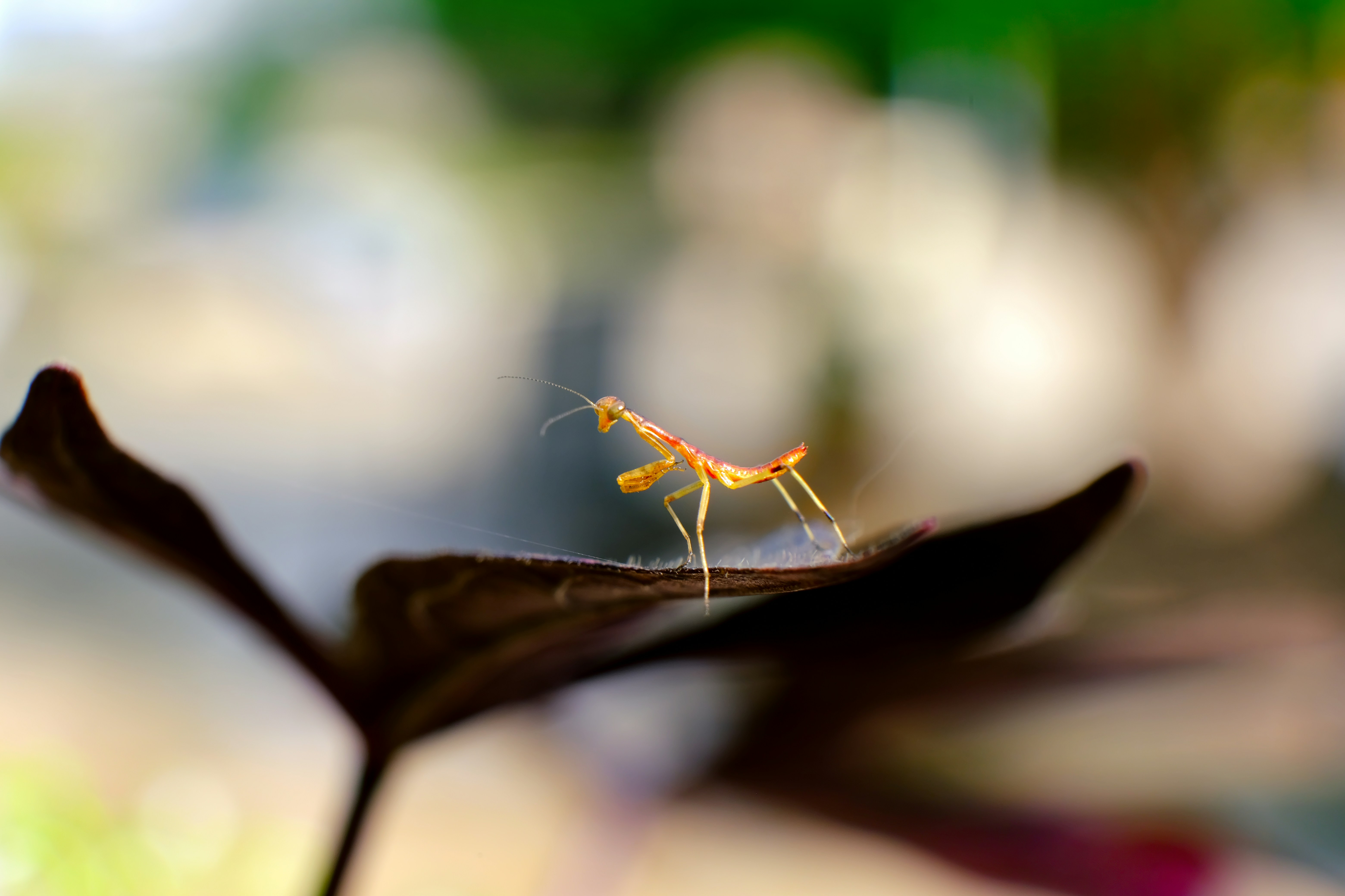 Photo by consoledotlog