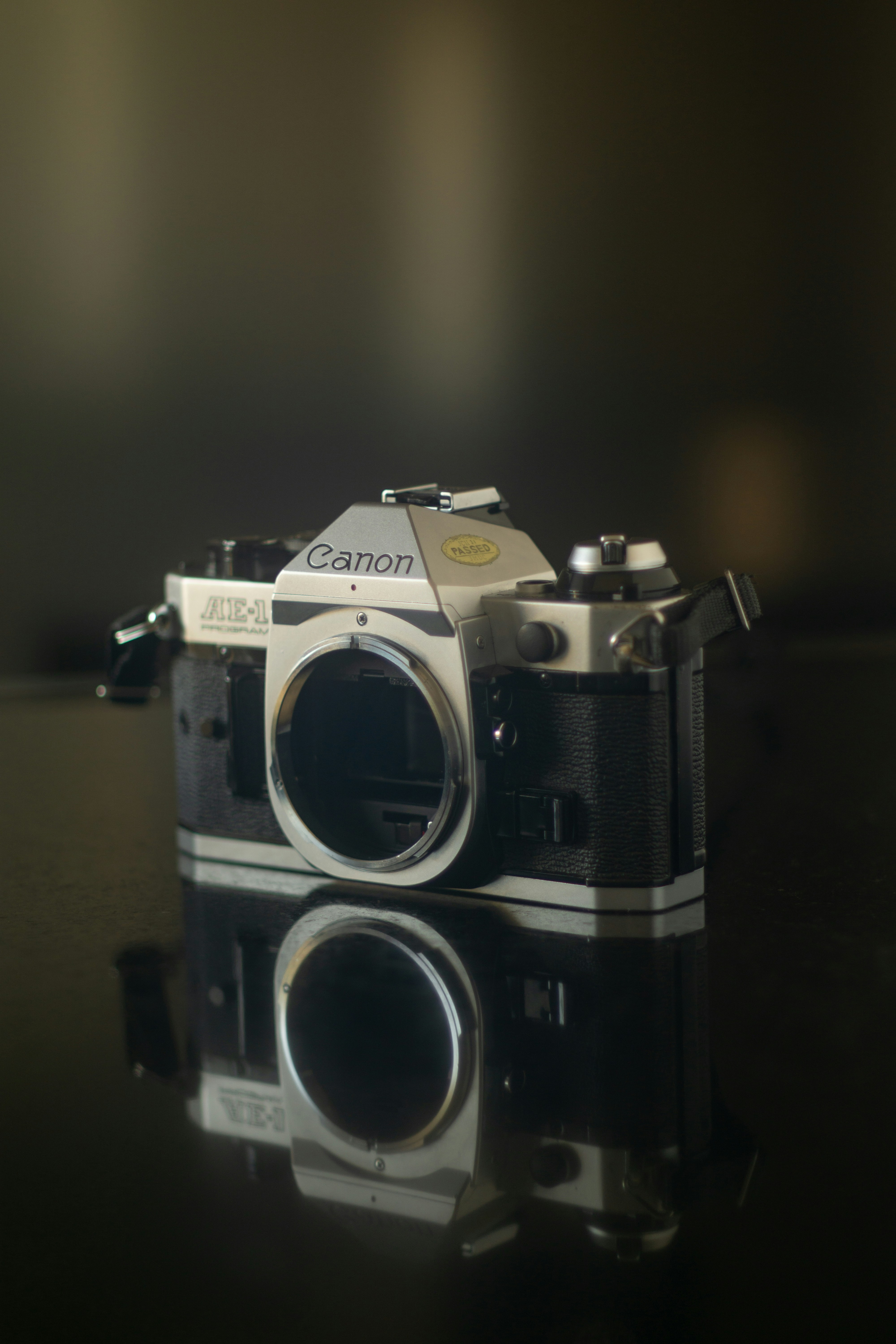 Photo by filipe_cantador