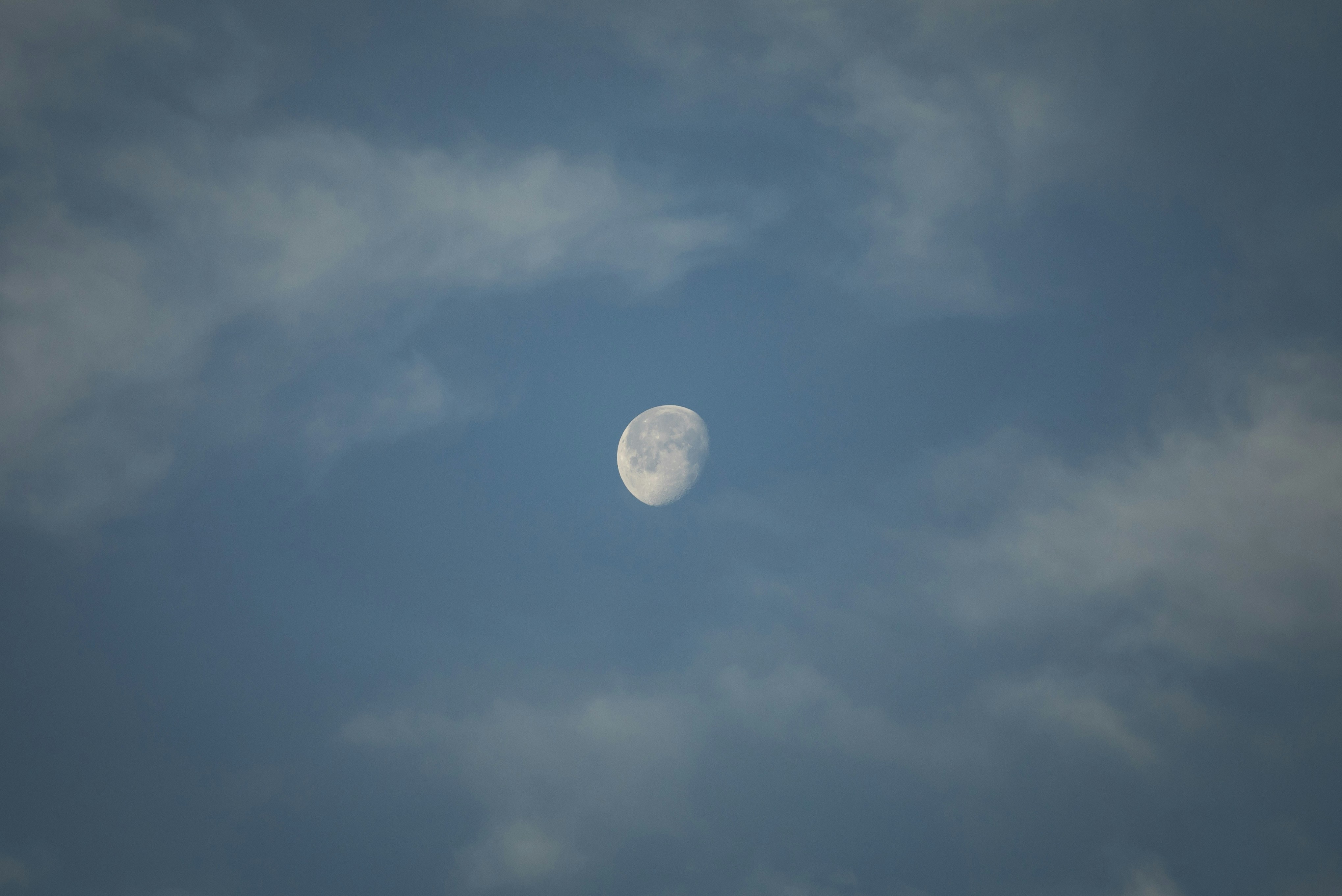 Photo by leo_visions_