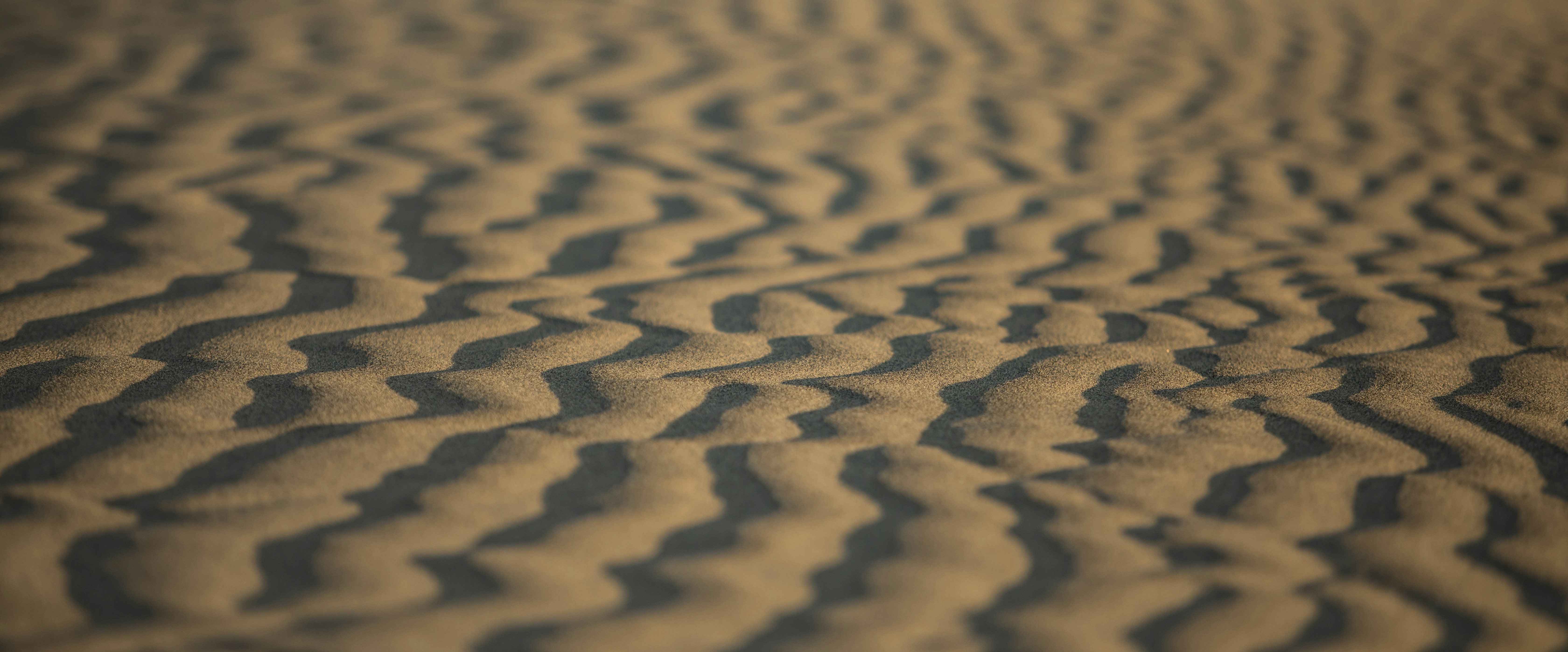 Photo by leo_visions_