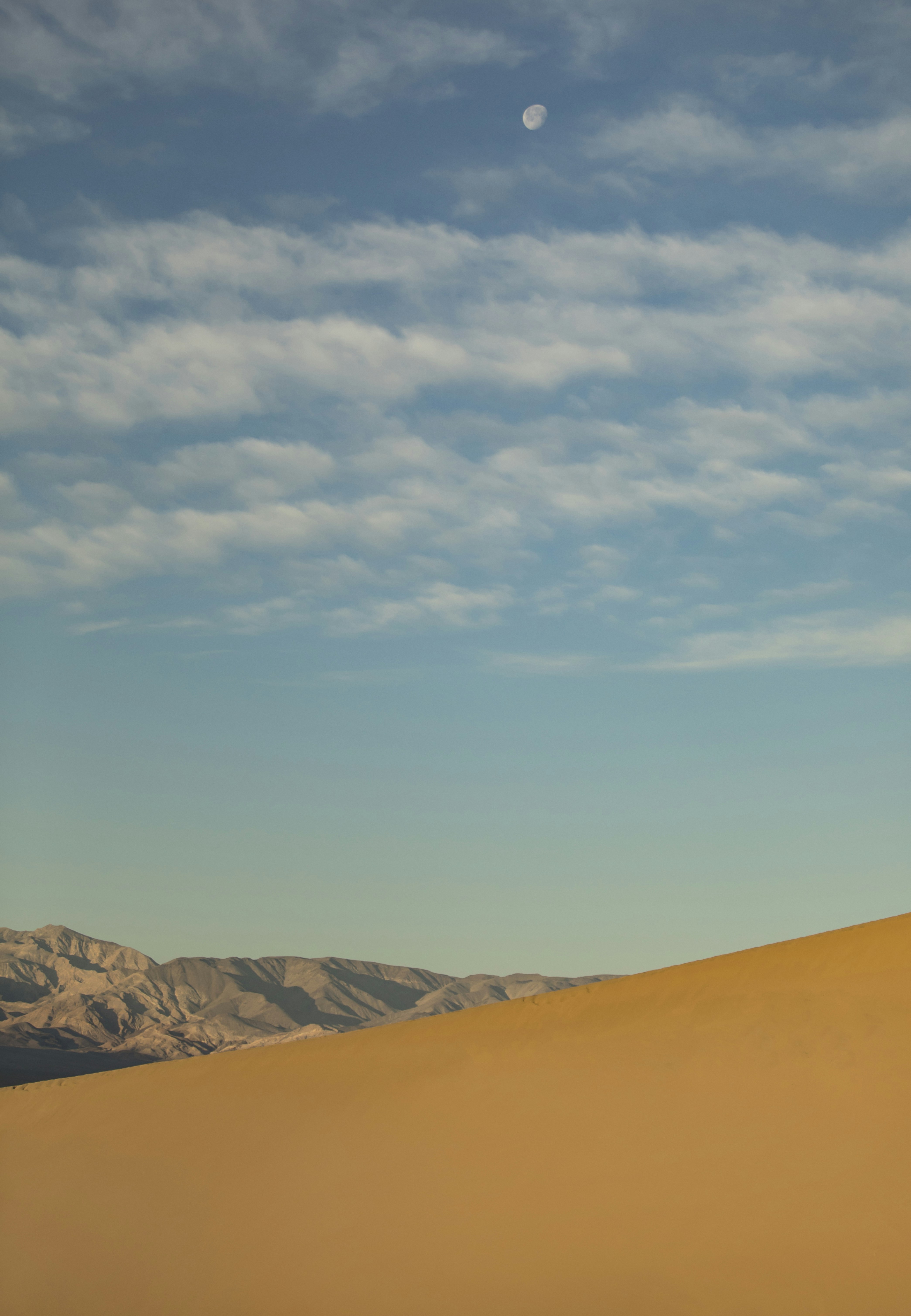 Photo by leo_visions_