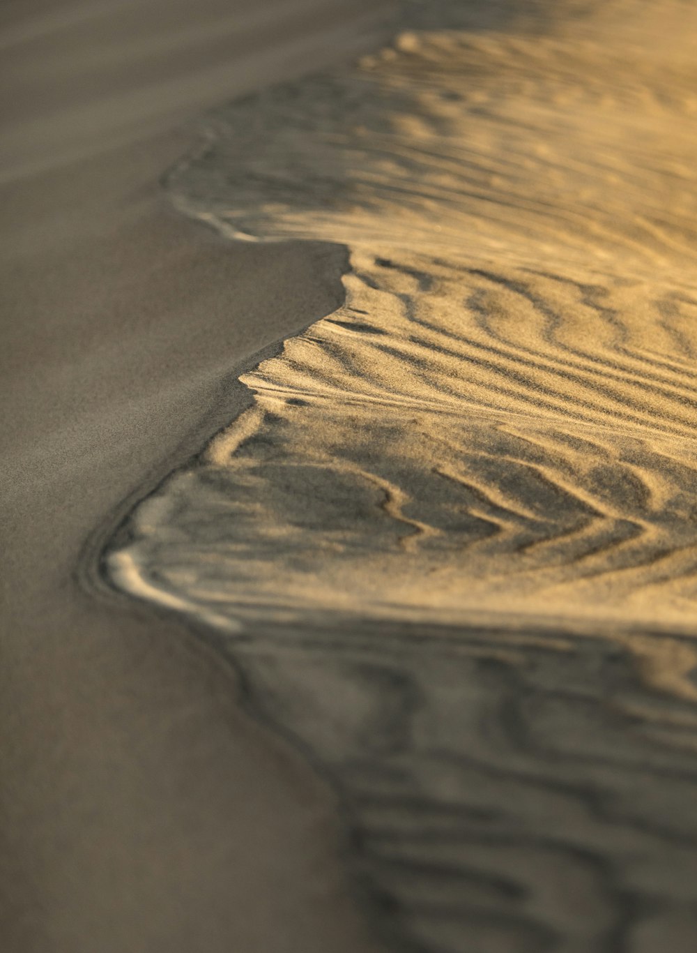 un paesaggio desertico con sabbia