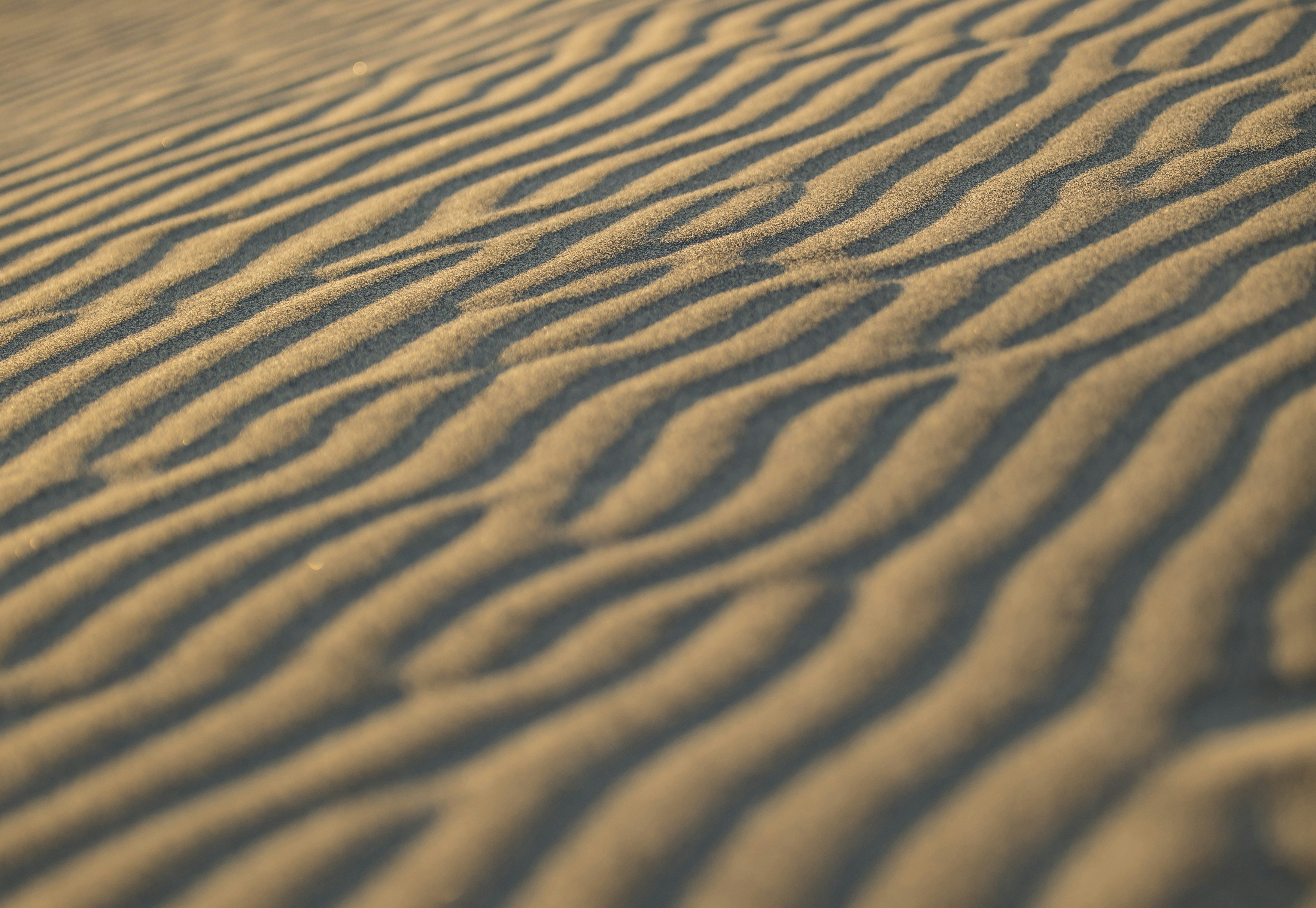 Photo by leo_visions_