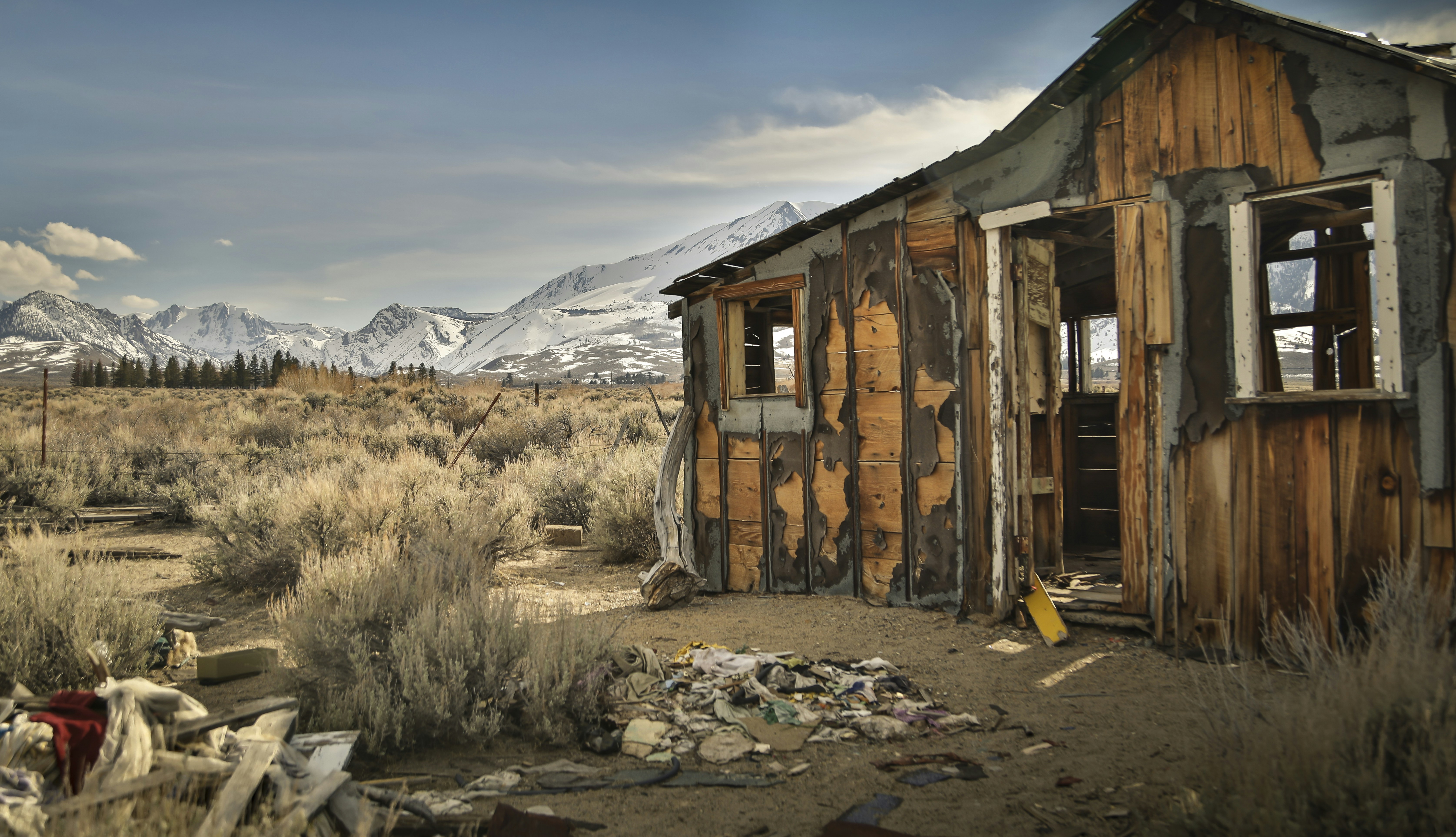 Photo by leo_visions_