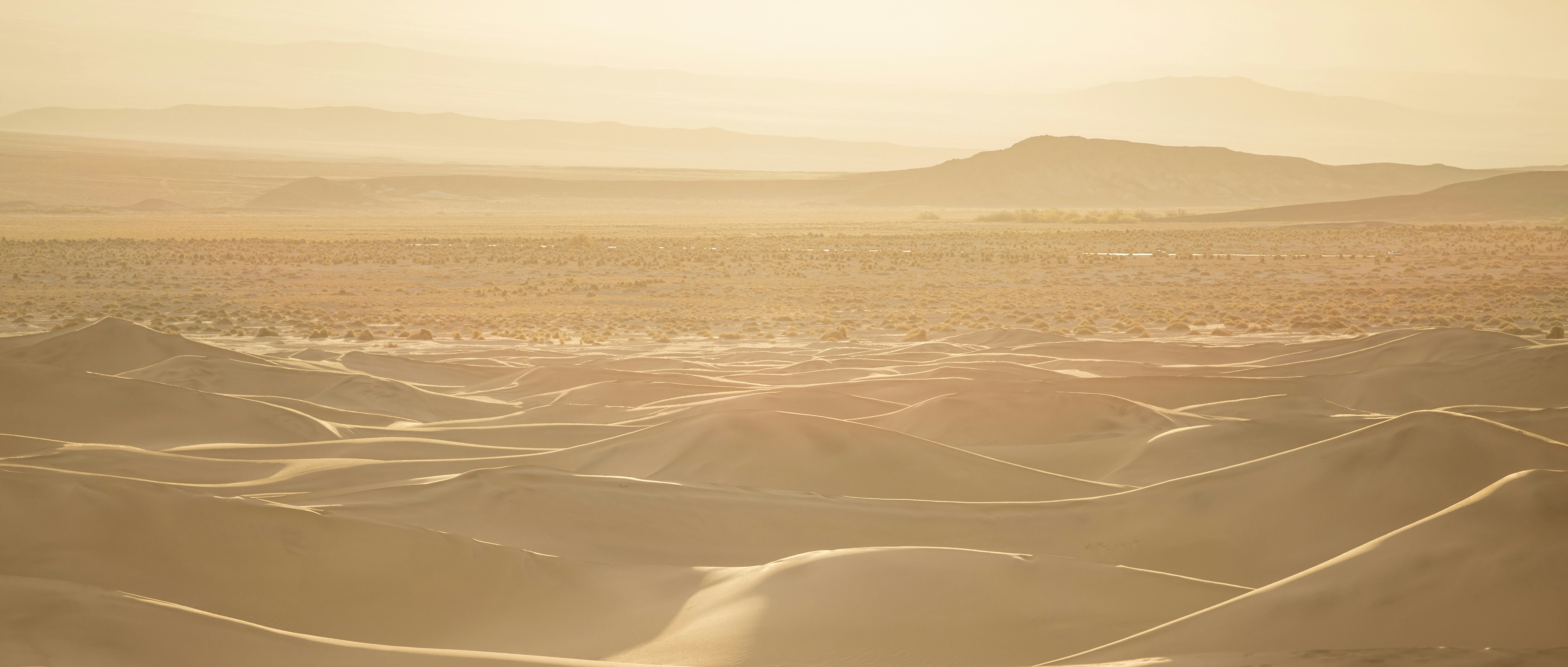 Photo by leo_visions_