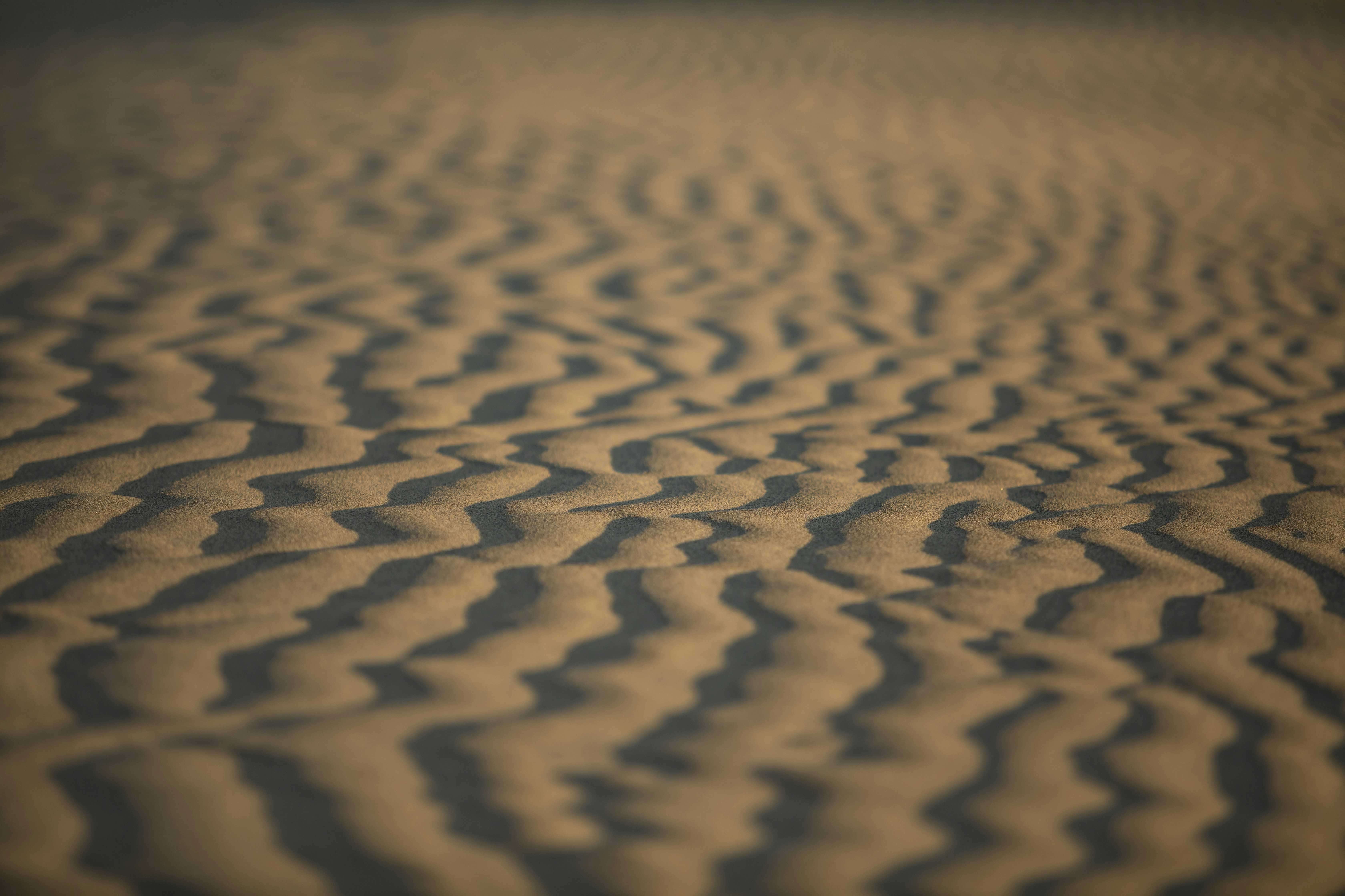 Photo by leo_visions_