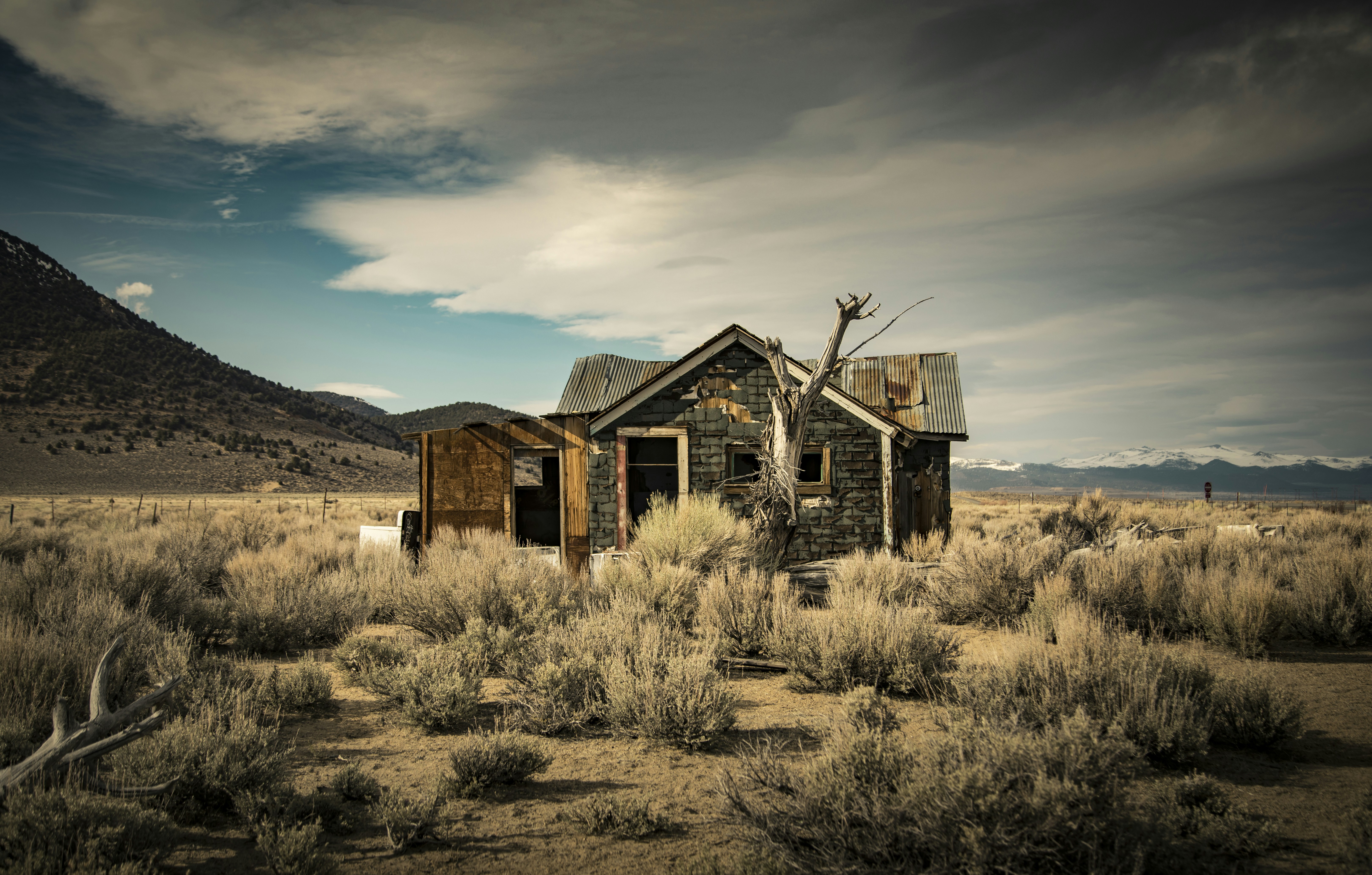 Photo by leo_visions_