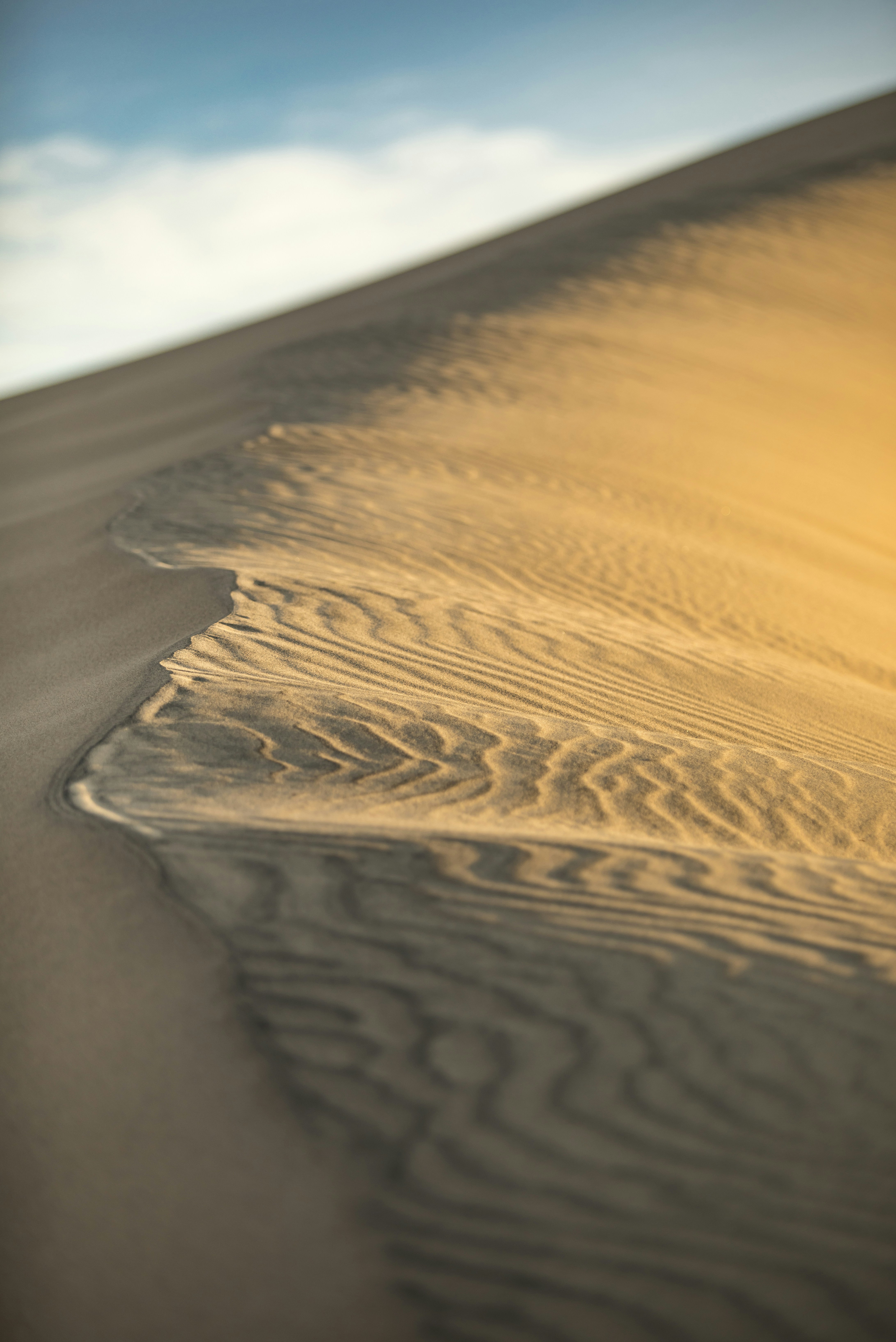 Photo by leo_visions_