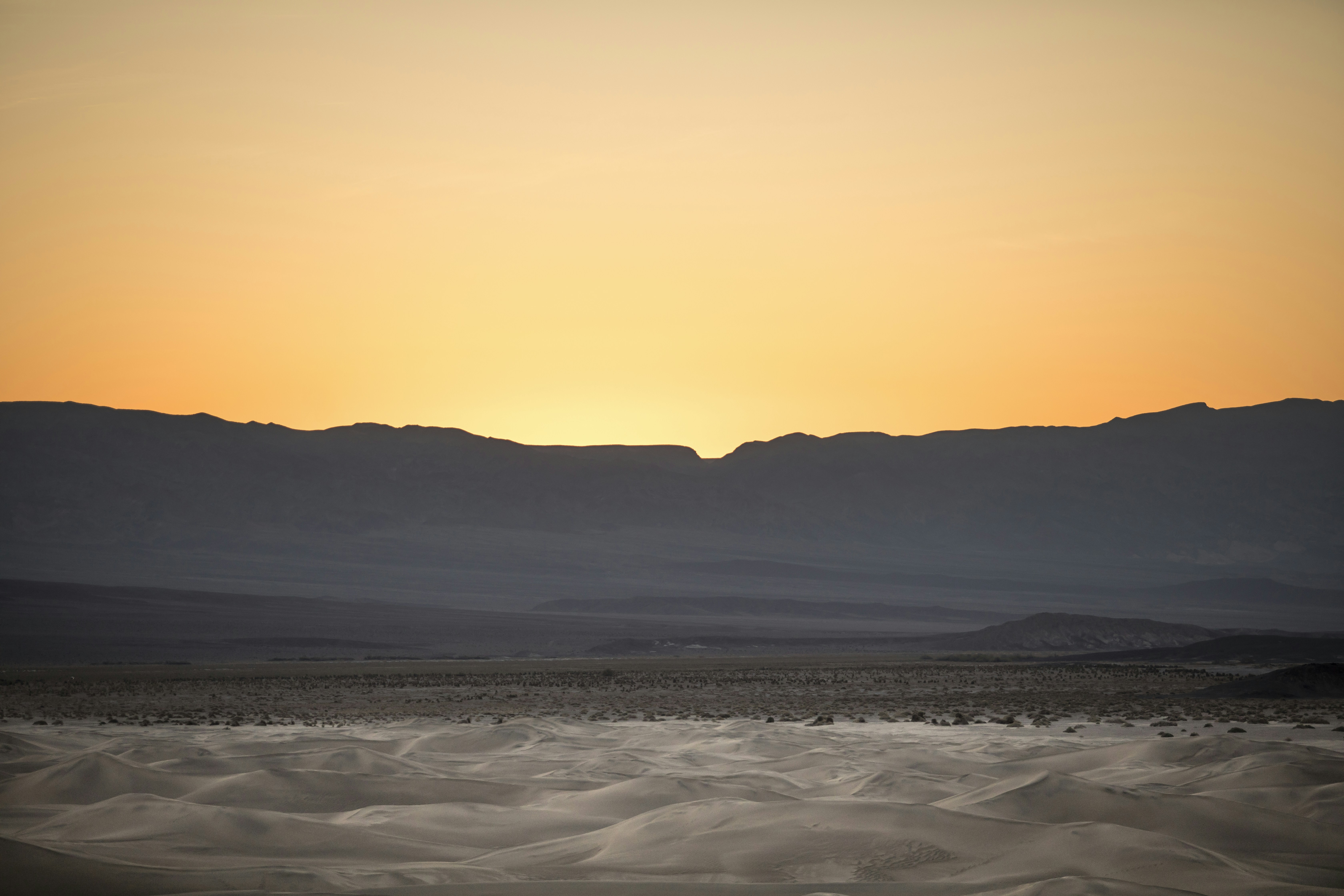 Photo by leo_visions_