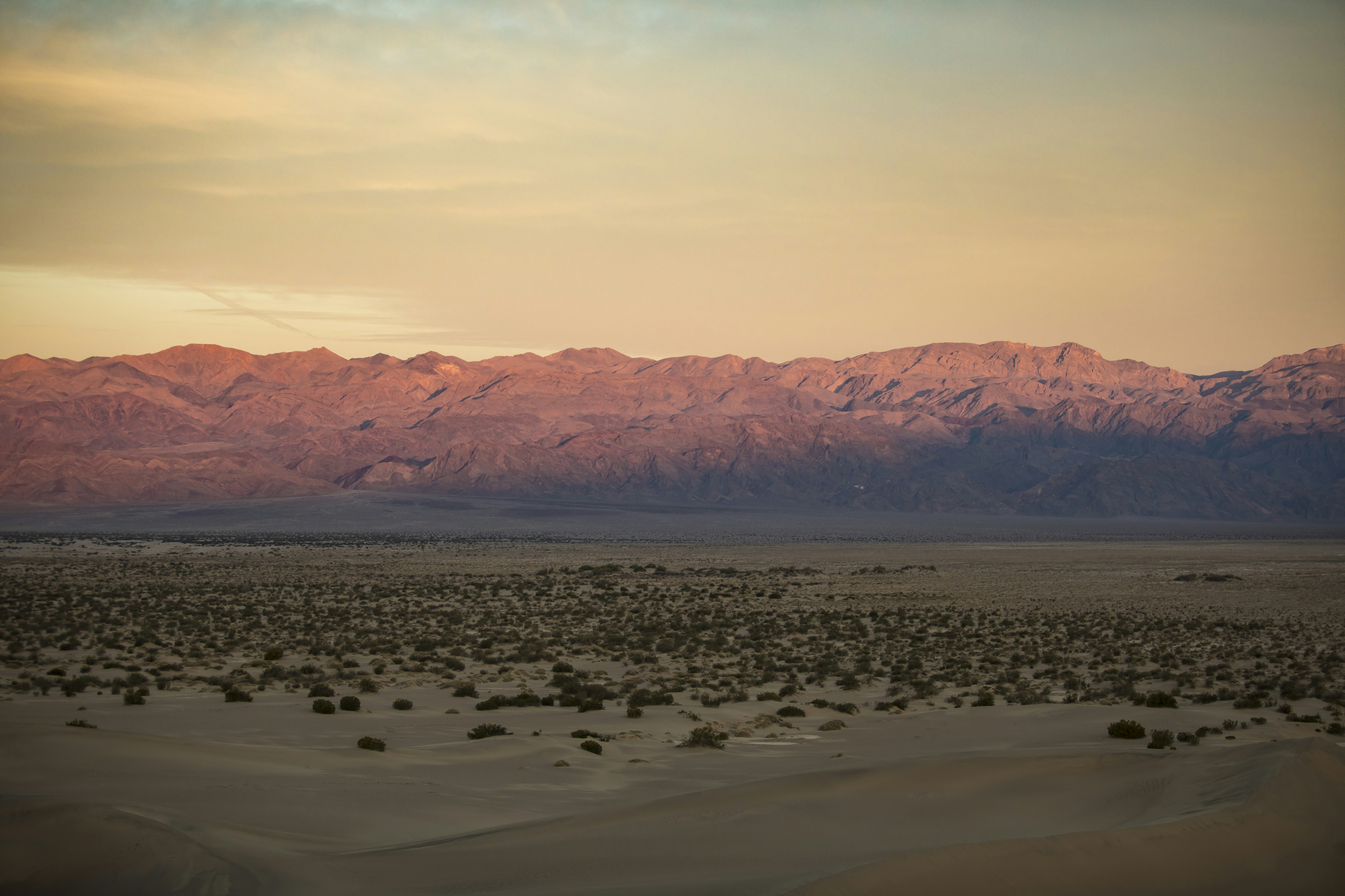 Photo by leo_visions_