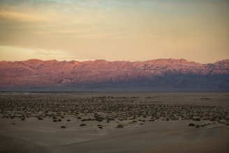 a desert landscape with mountains in the background