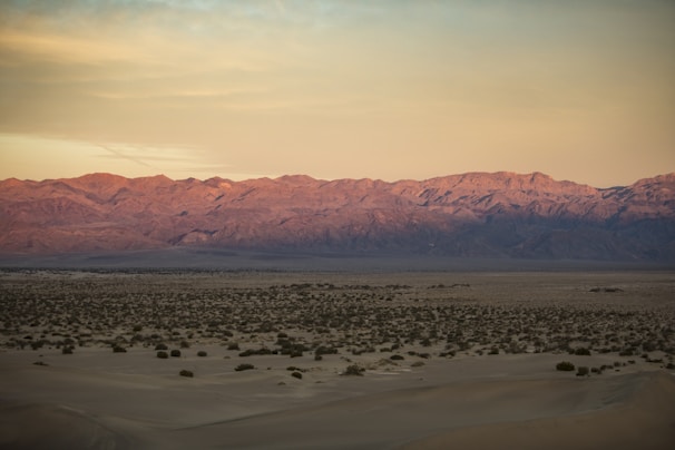 a desert landscape with mountains in the background
