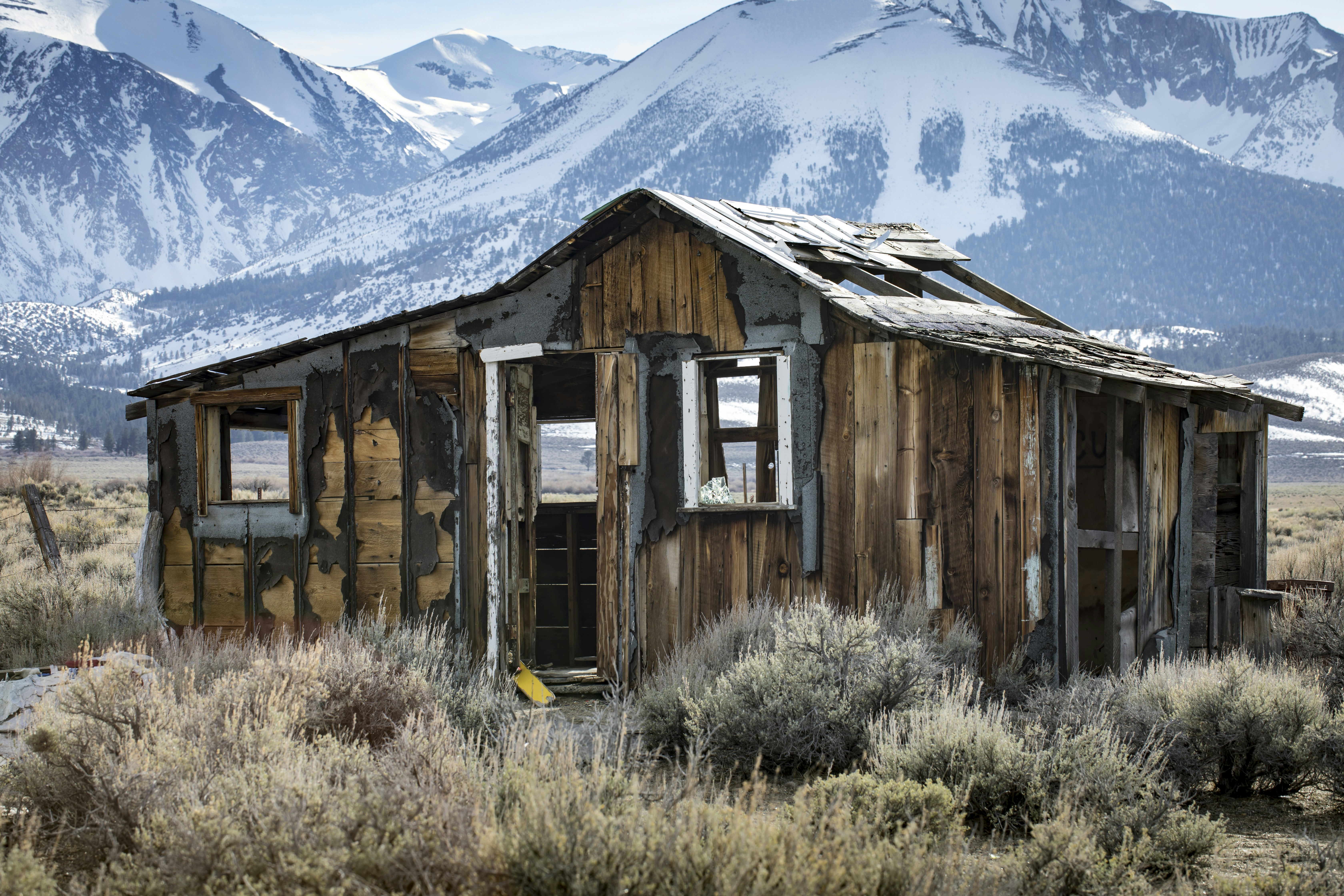 Photo by leo_visions_