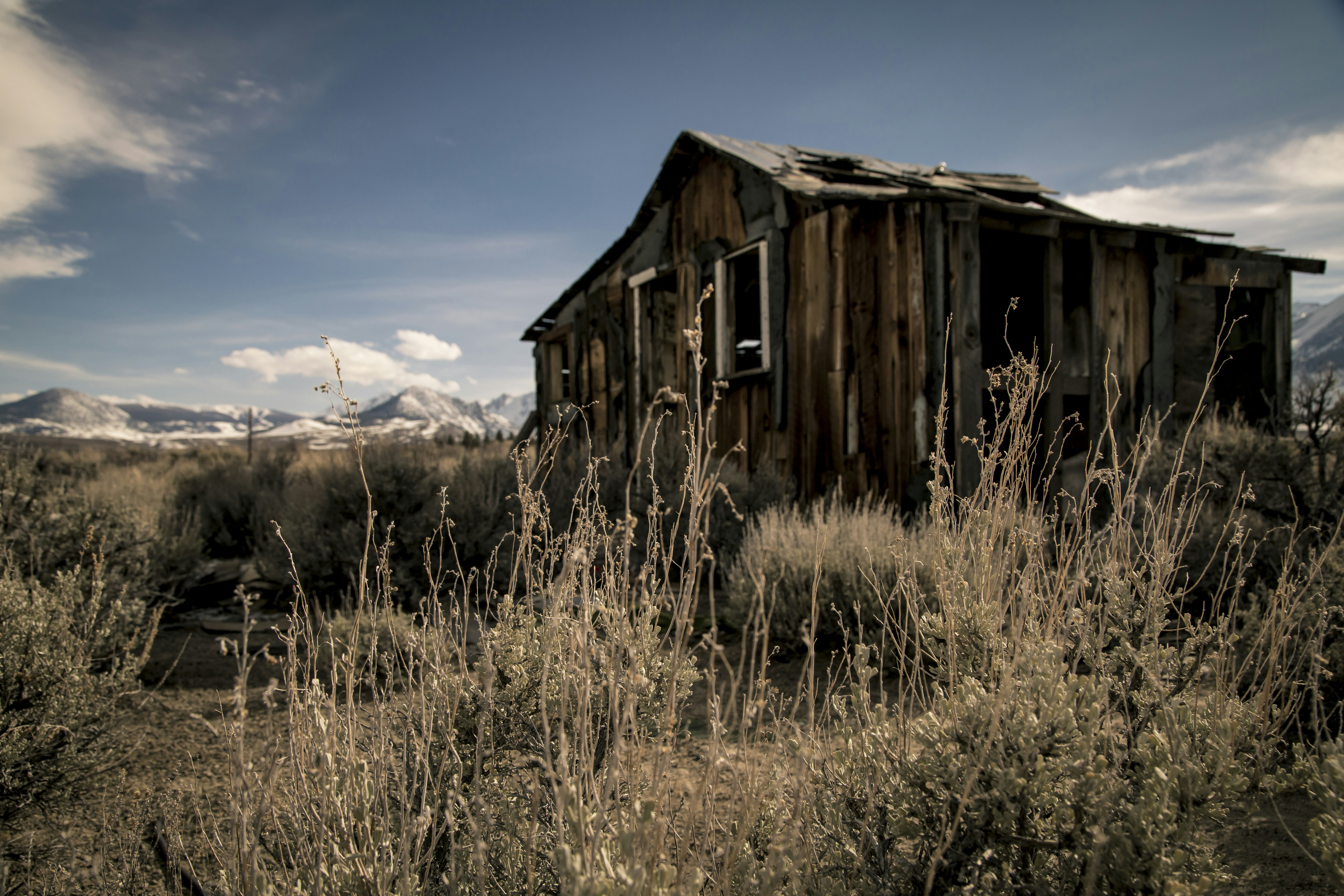 Photo by leo_visions_