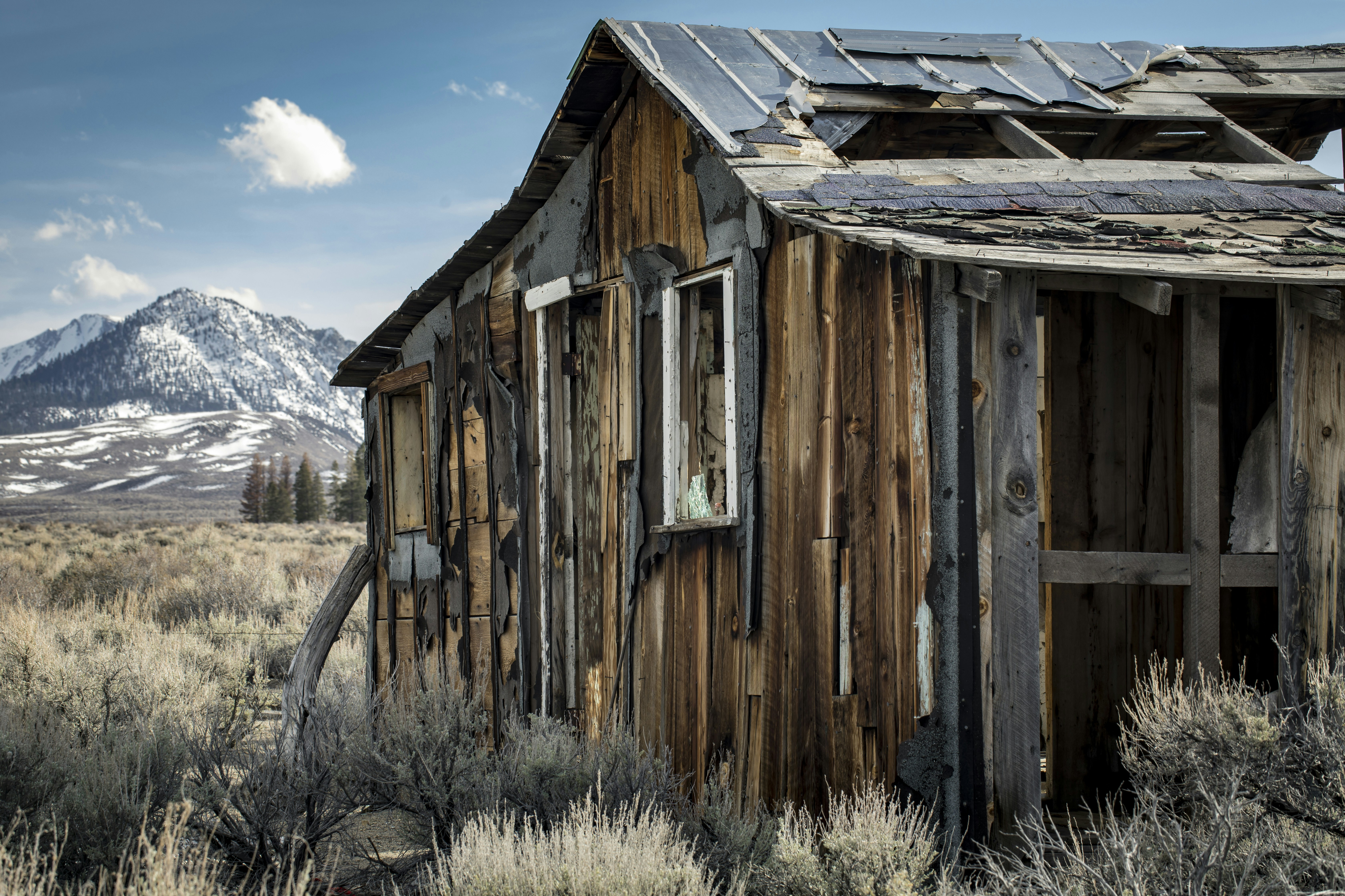 Photo by leo_visions_