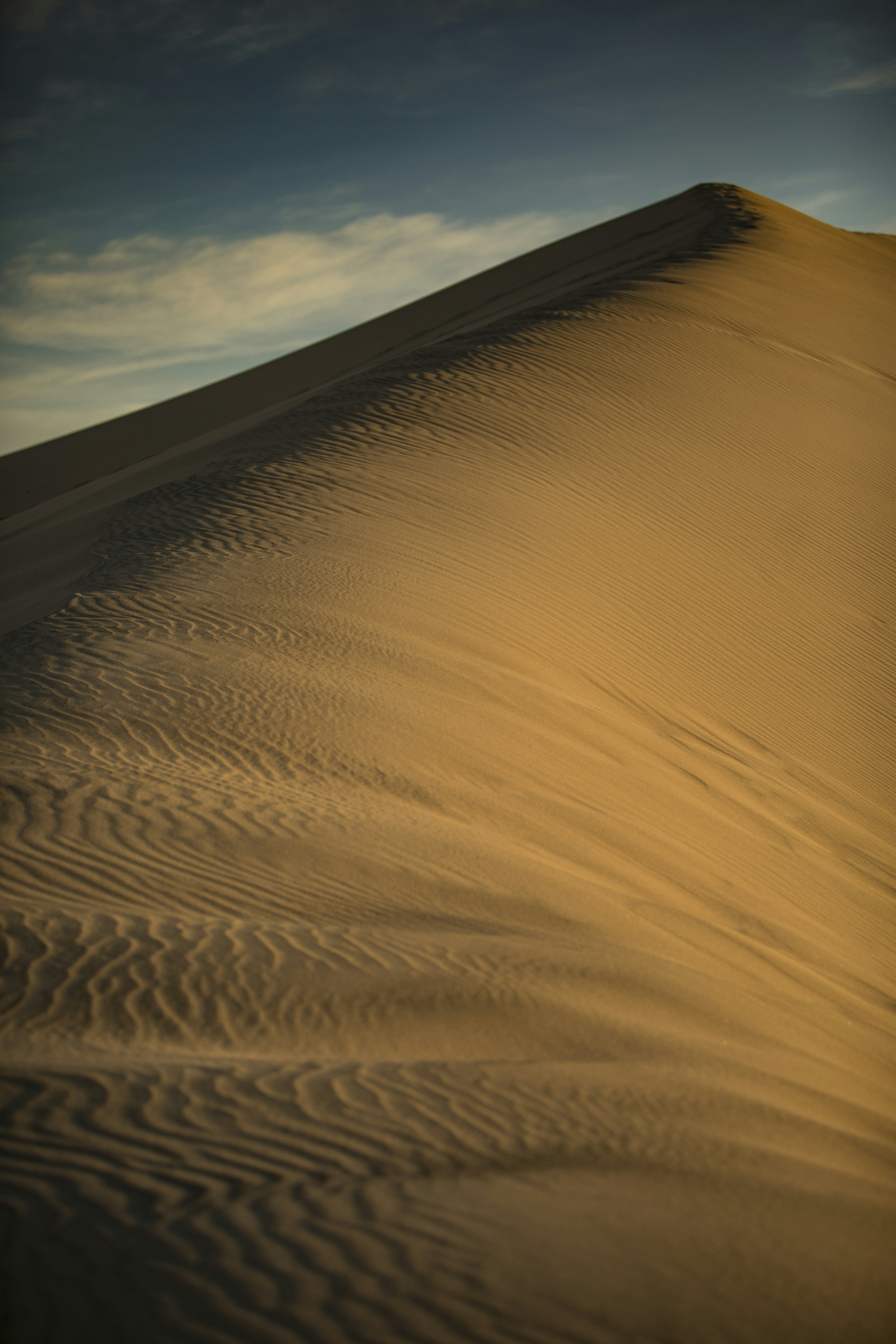 Photo by leo_visions_